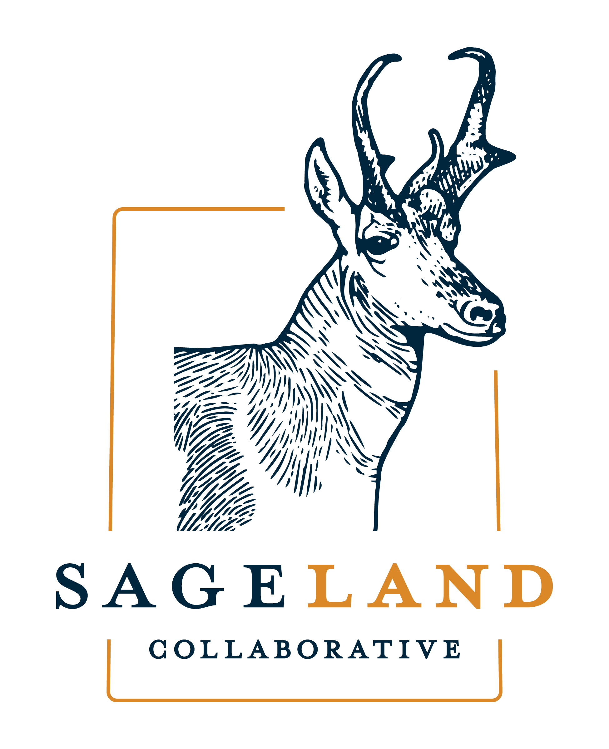 2022 Boreal Toad Volunteer Event — Sageland Collaborative