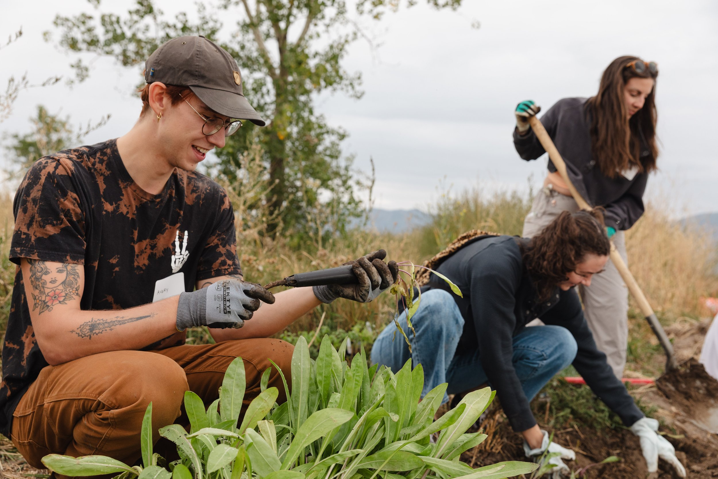 091925 - Sageland Collaborative GSL Shorelands Preserve Planting - ©Sierra Hastings-11.jpg