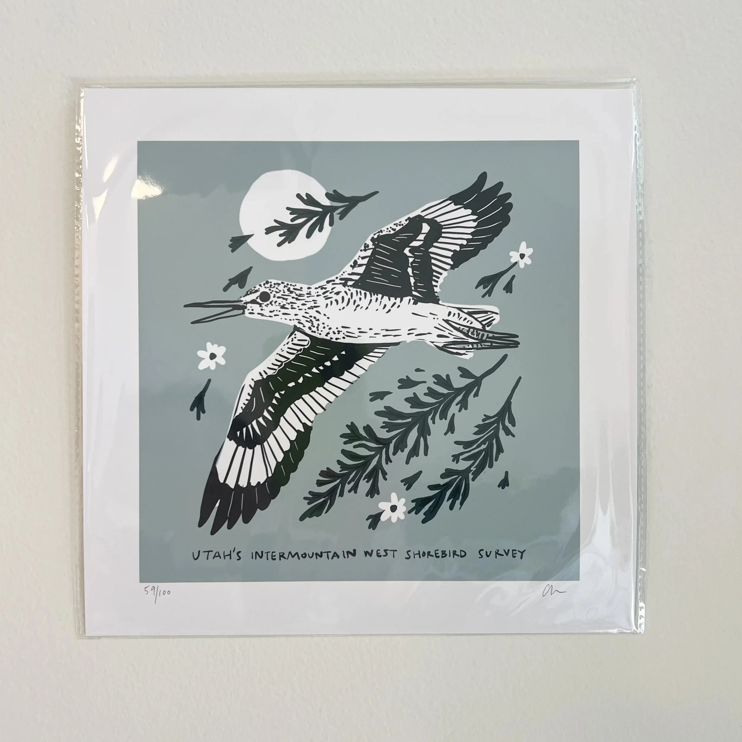 Shorebird+Print-1.jpg