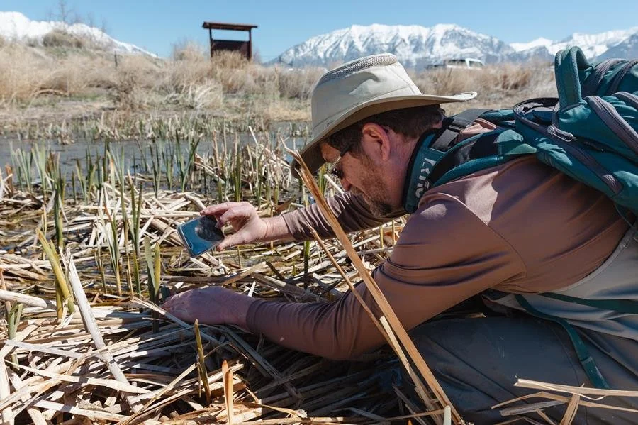 It's Herpening: Field Season is nearly HERE!