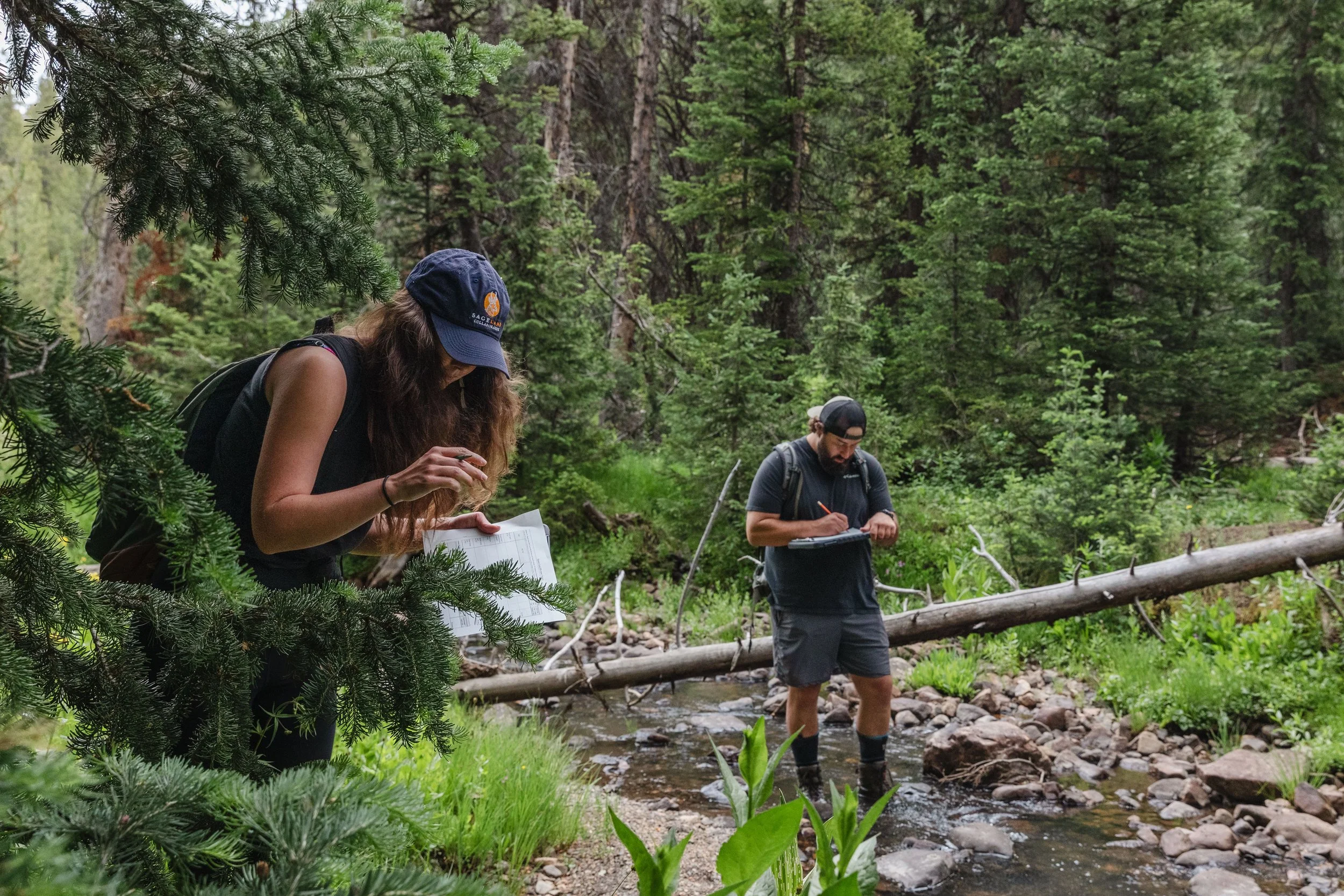 Sageland Collaborative 2026 Seasonal Positions - ©Sierra Hastings-1.jpg