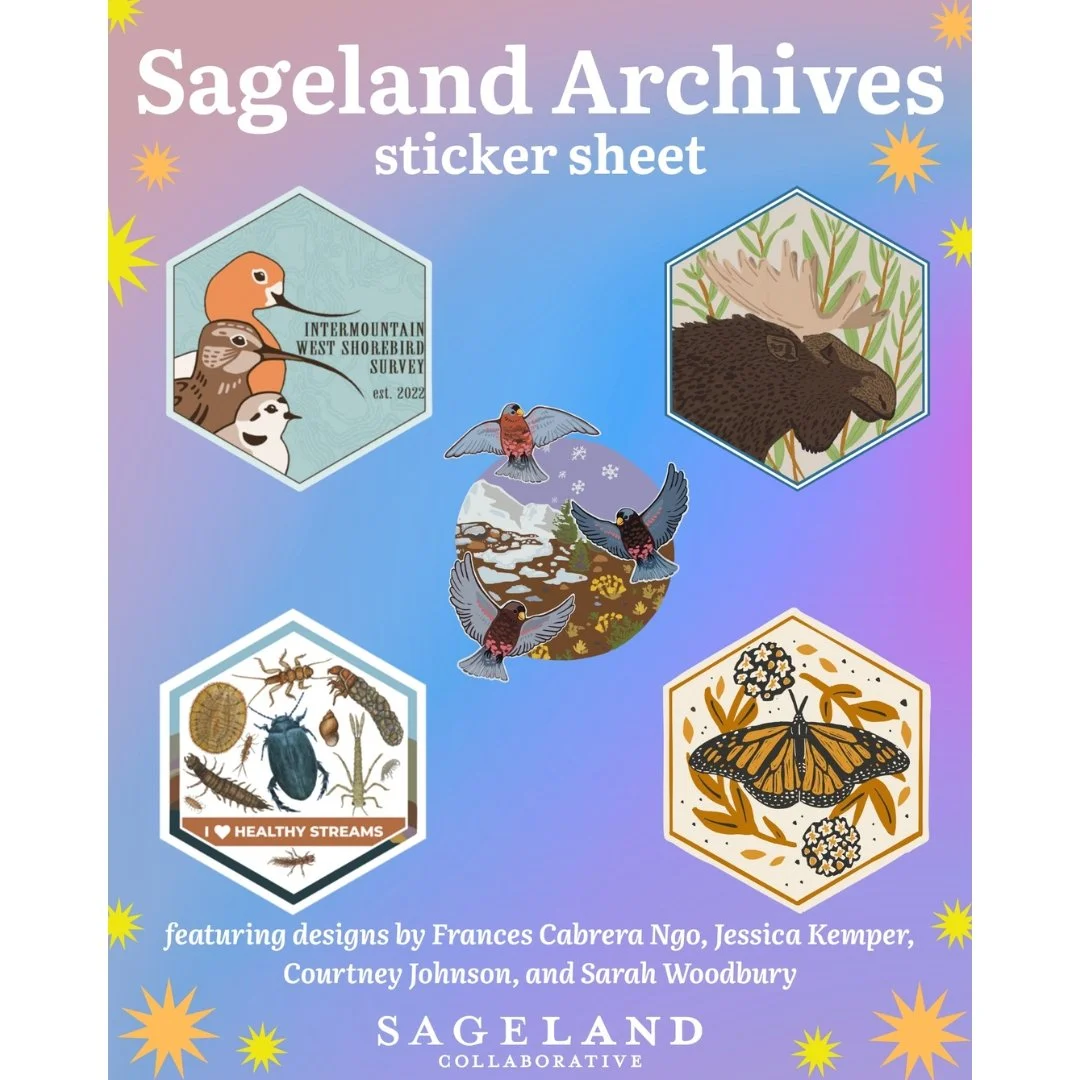 Sageland Archival Sticker Sheet #3.jpg