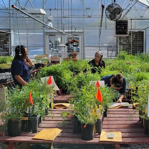 Will you Speak Up for Pollinators? — Sageland Collaborative