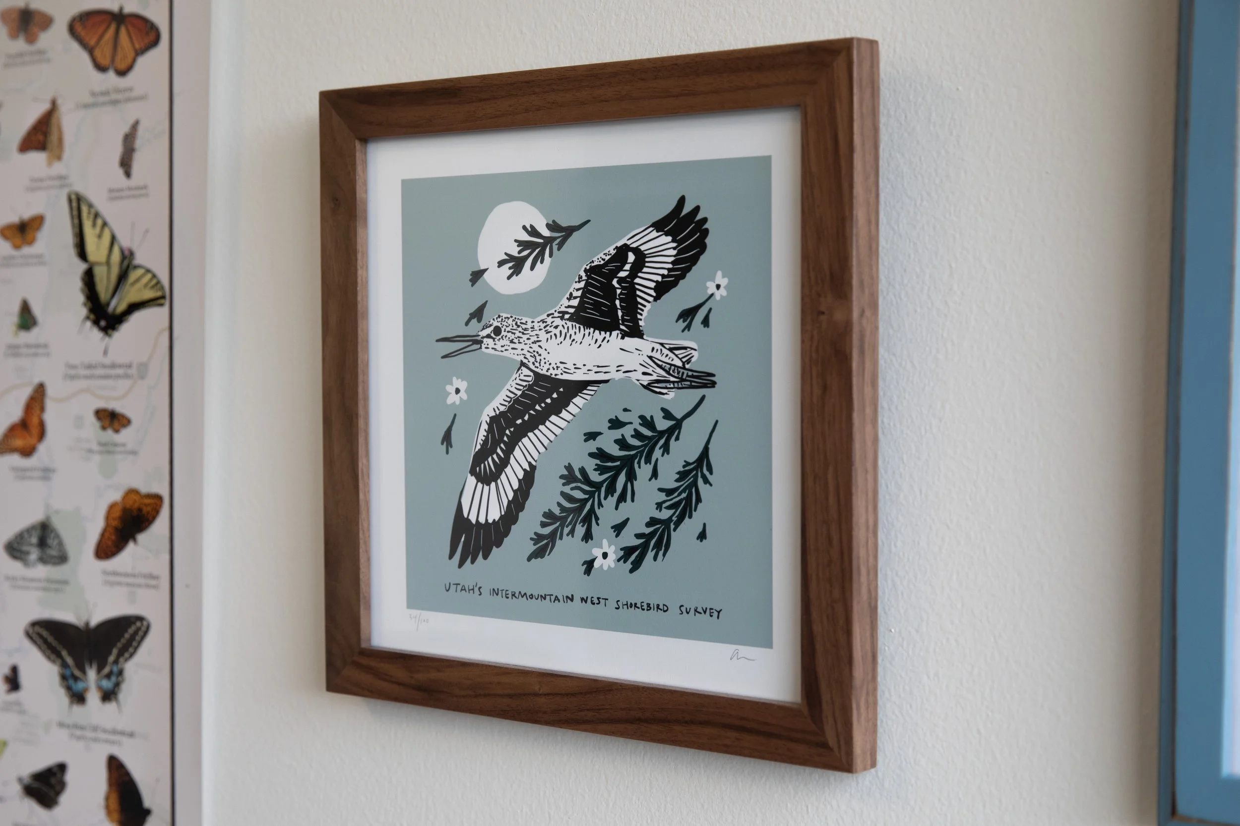 Shorebird Print © Sierra Hastings-1.jpg