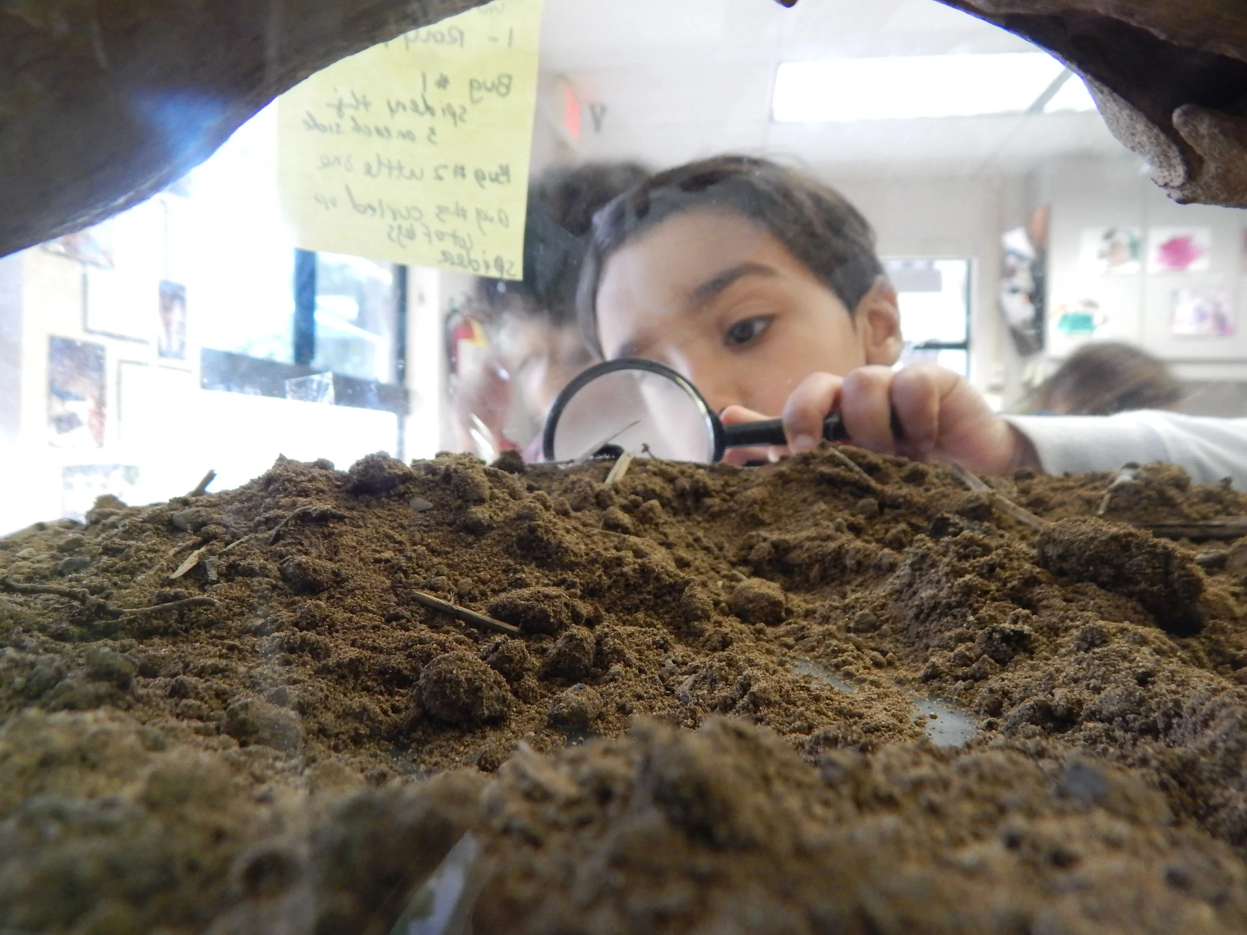 Copy of DSCN1218.JPG