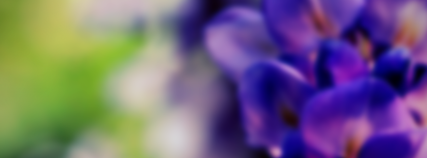 "Suffering In Focus"