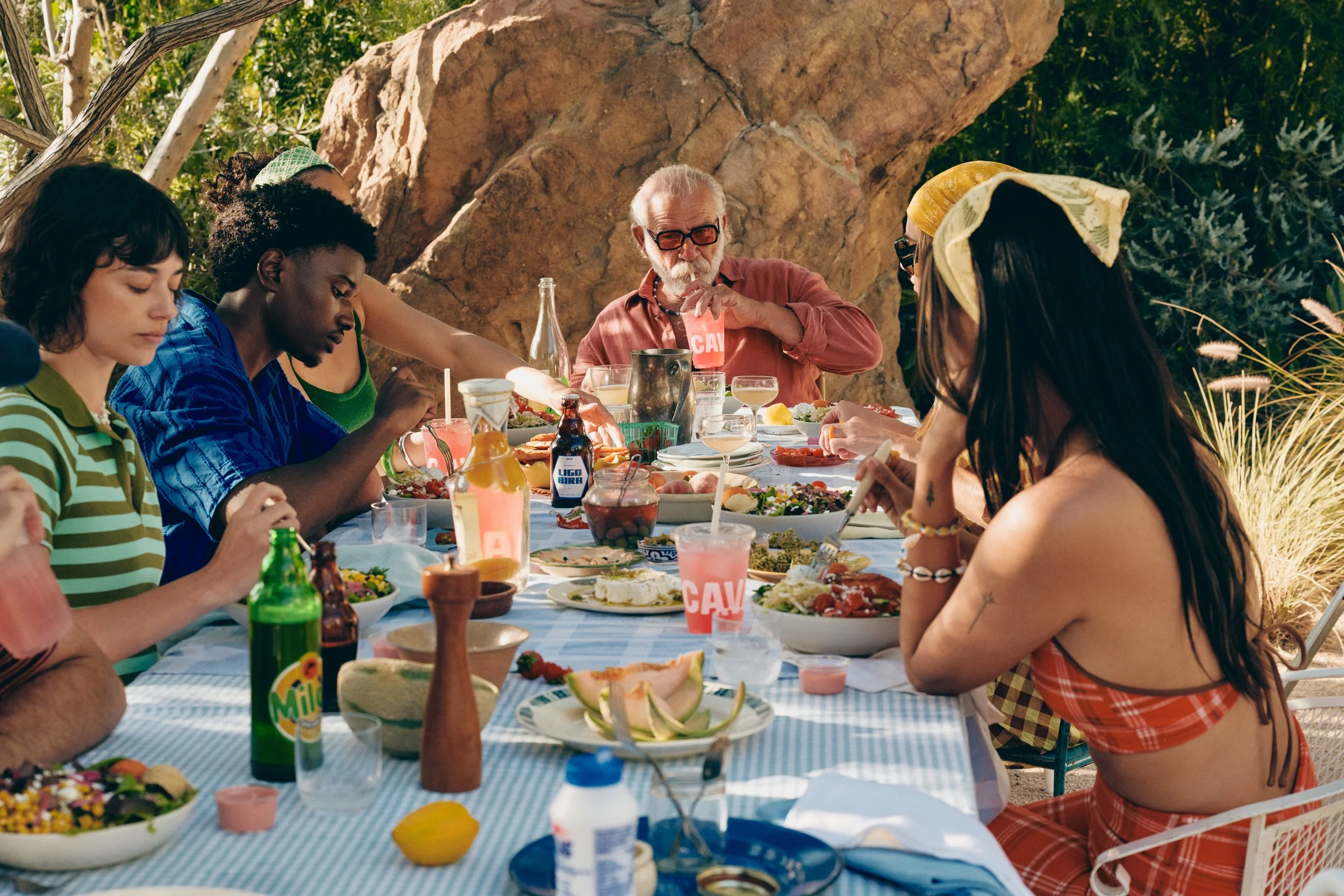 STEAK_STRAWBERRY_SALAD_HERO_2_GROUP_HANG_TABLE_5122.jpg