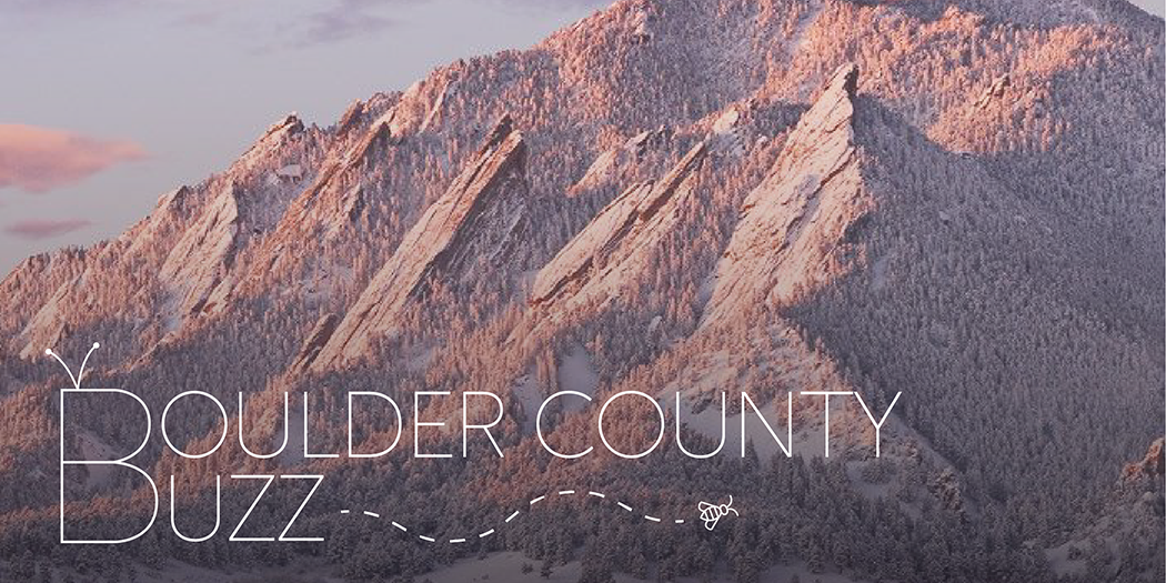 new boulder buzz header.png