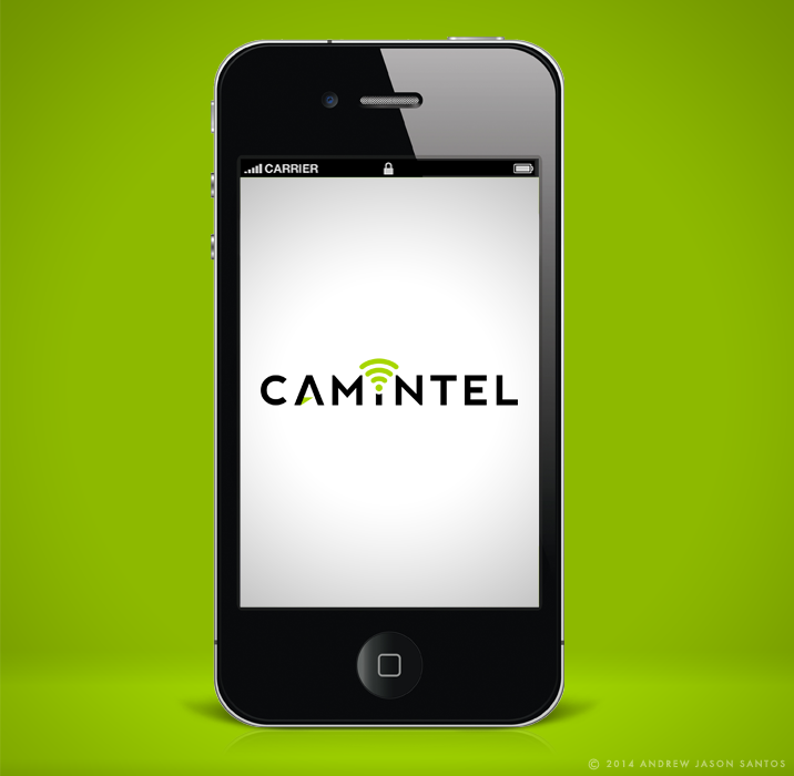 cam2.png