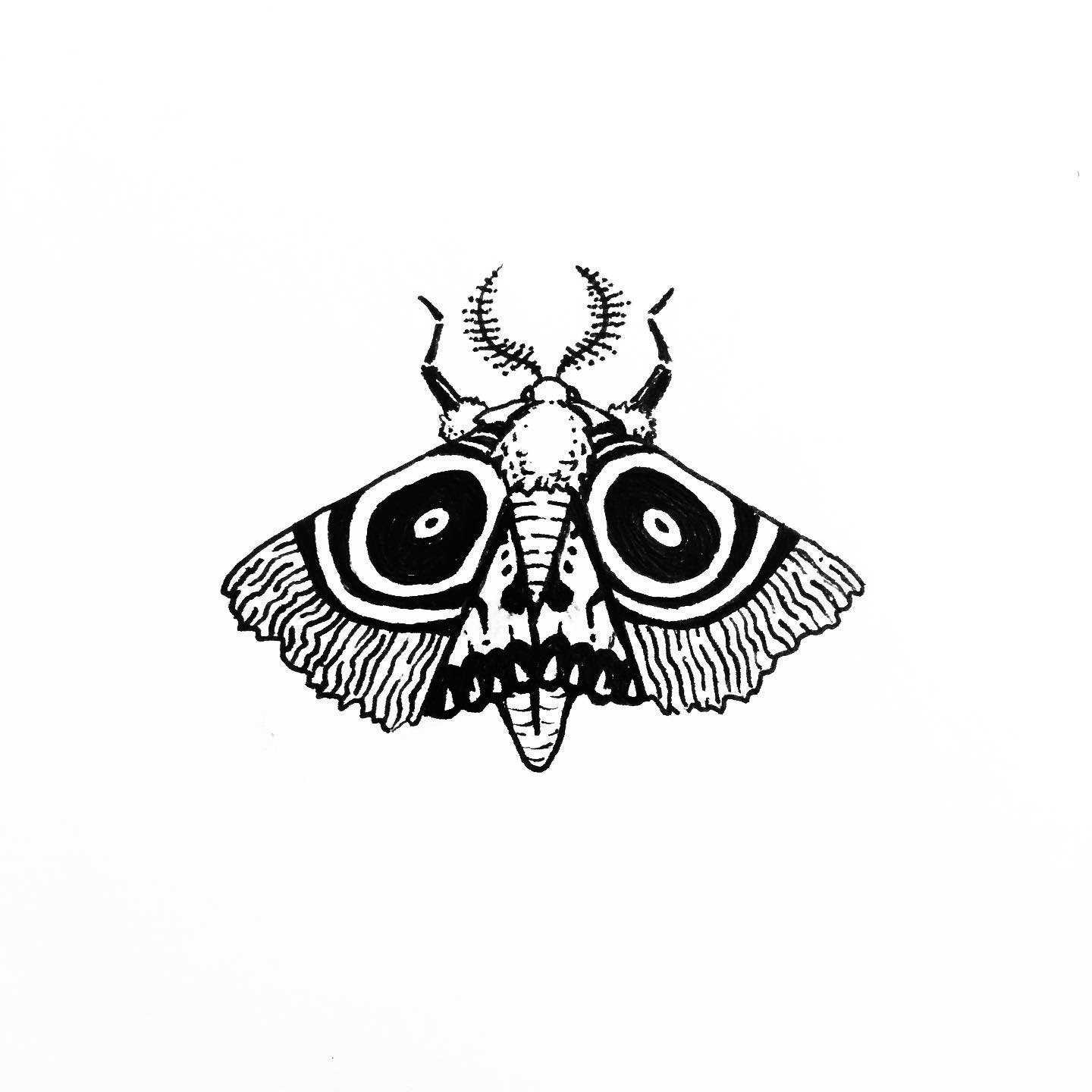 June Doom N Gloom: Day 8-9
&ldquo;Spirit Animal&rdquo;

💀👅🦋🌙🖤✨👻

#junedoomngloom #moth #mori #bombyxmori #silk #night #spirit #doom #gloom #drawing #doodle #sketch #illustration #inkdrawing #pencildrawing #artchallenge #prompt #collaboration #j