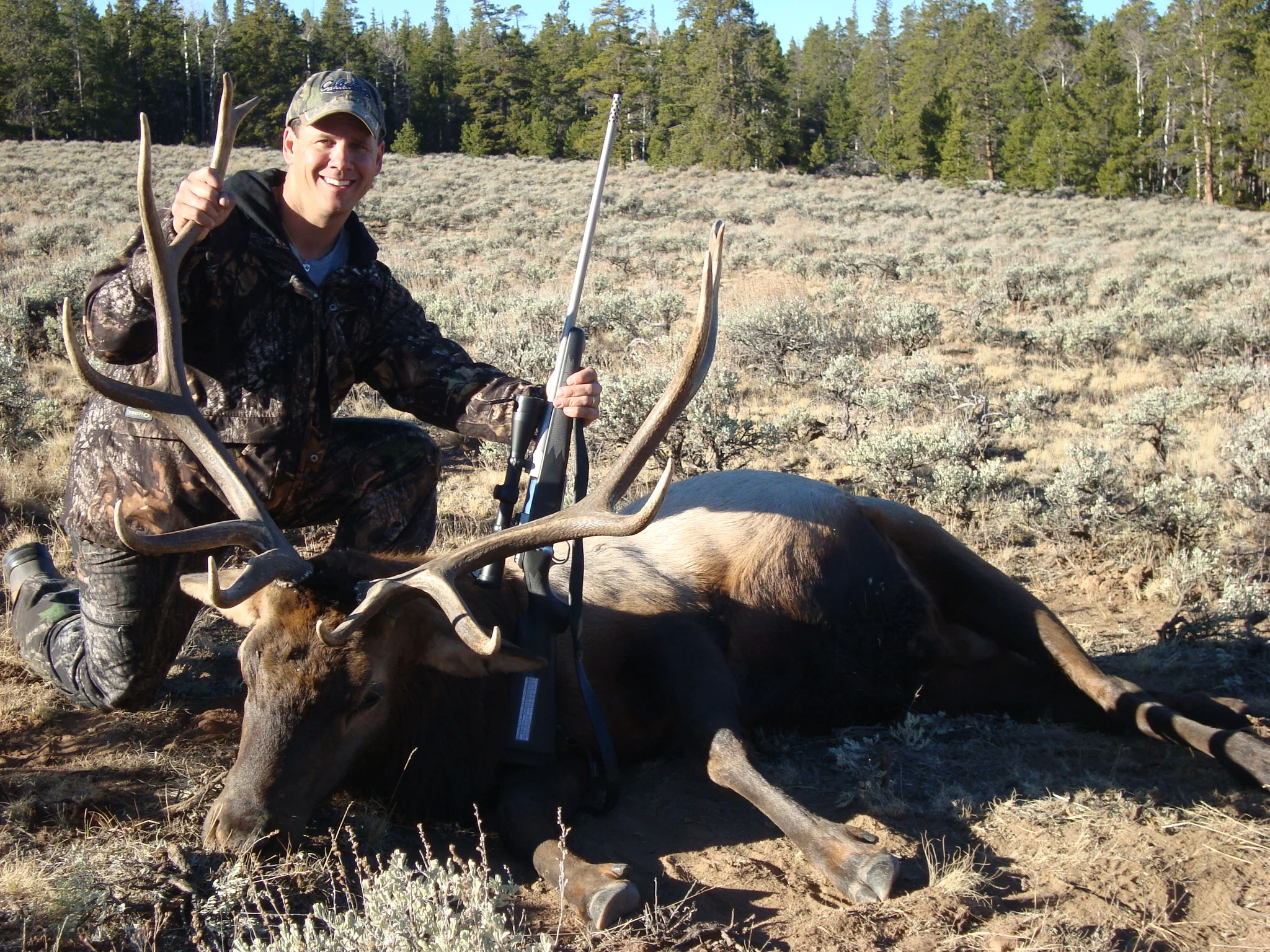 elk new.JPG