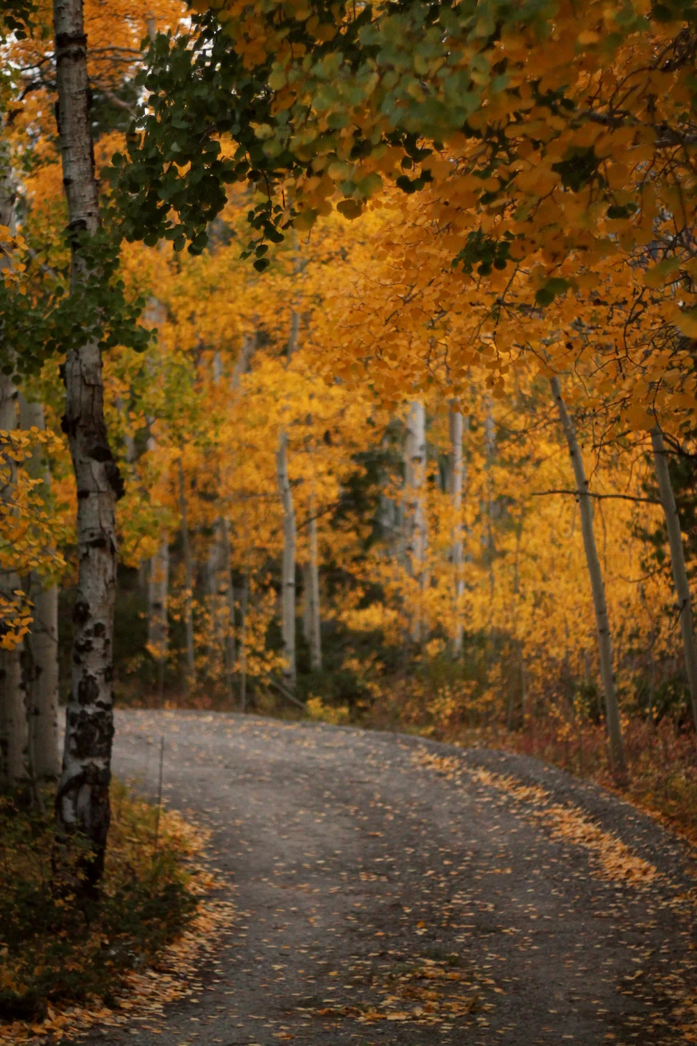 Colorado Fall Road Trip - Lunch and Weather