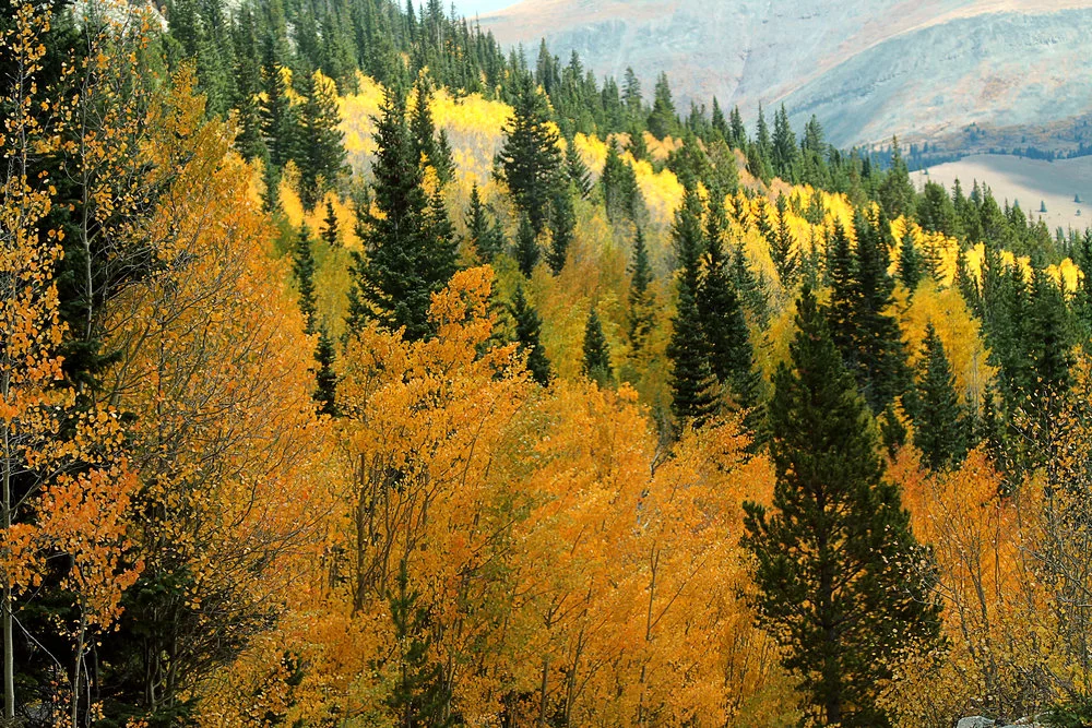 Colorado Fall Road Trip - Day #2
