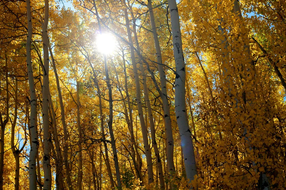 Telluride, Co - Trip Part #4