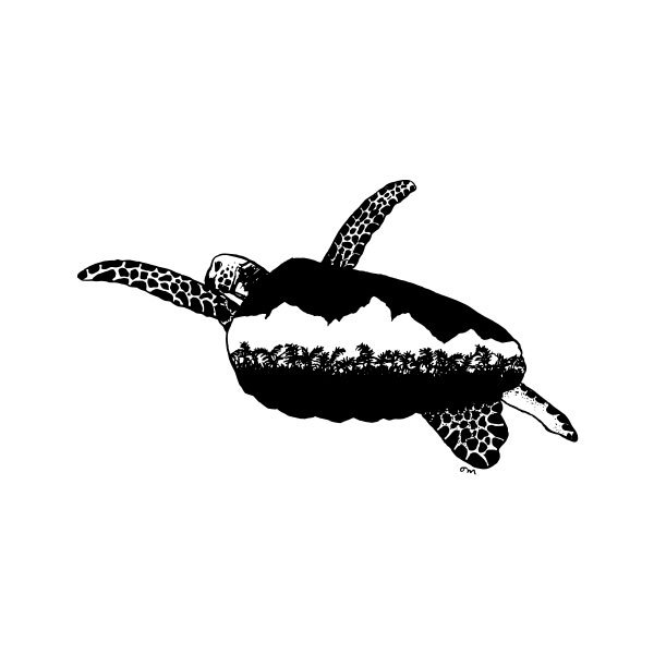 turtle_closeup-art.jpg