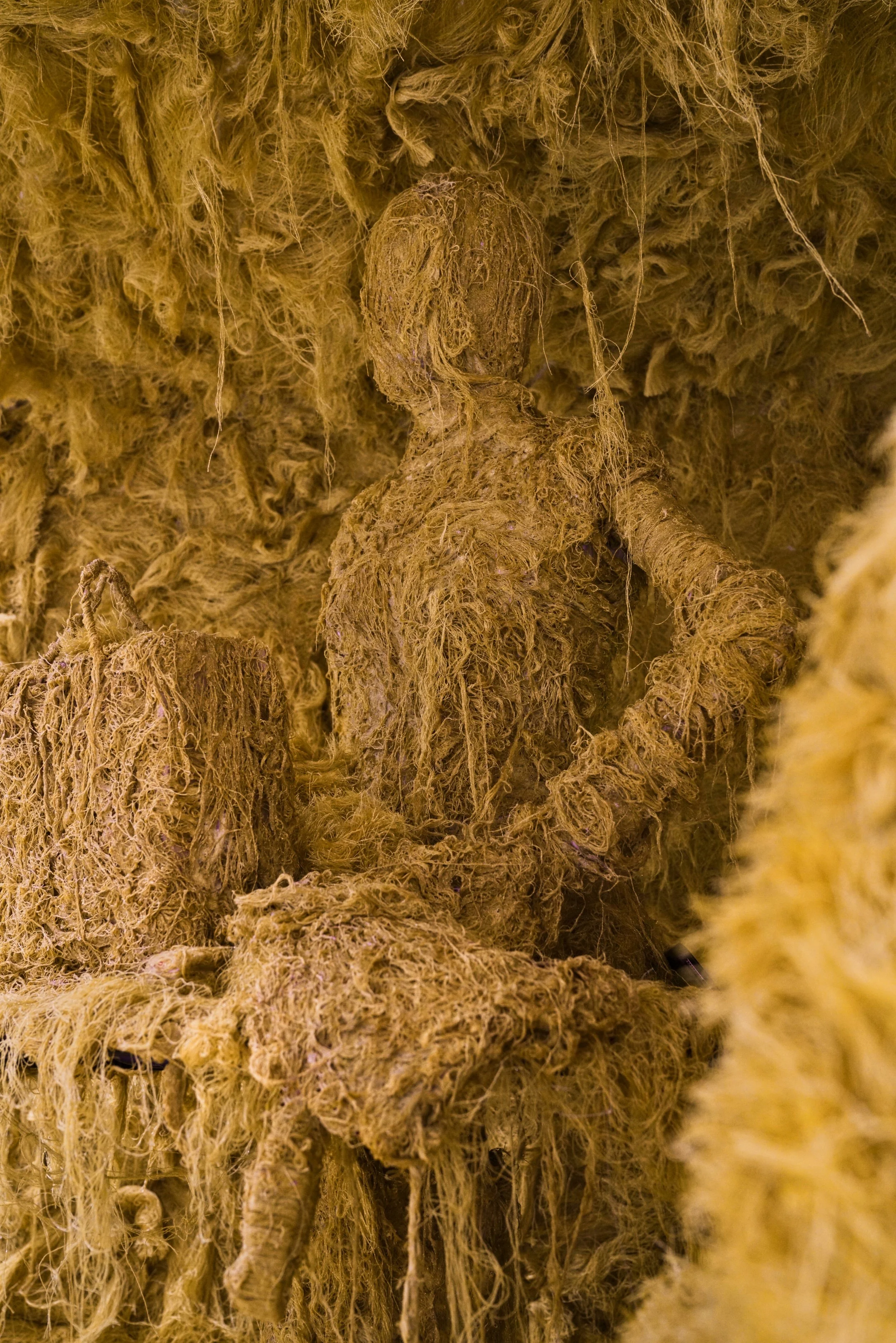 IMG_2081_polarr 2.jpg