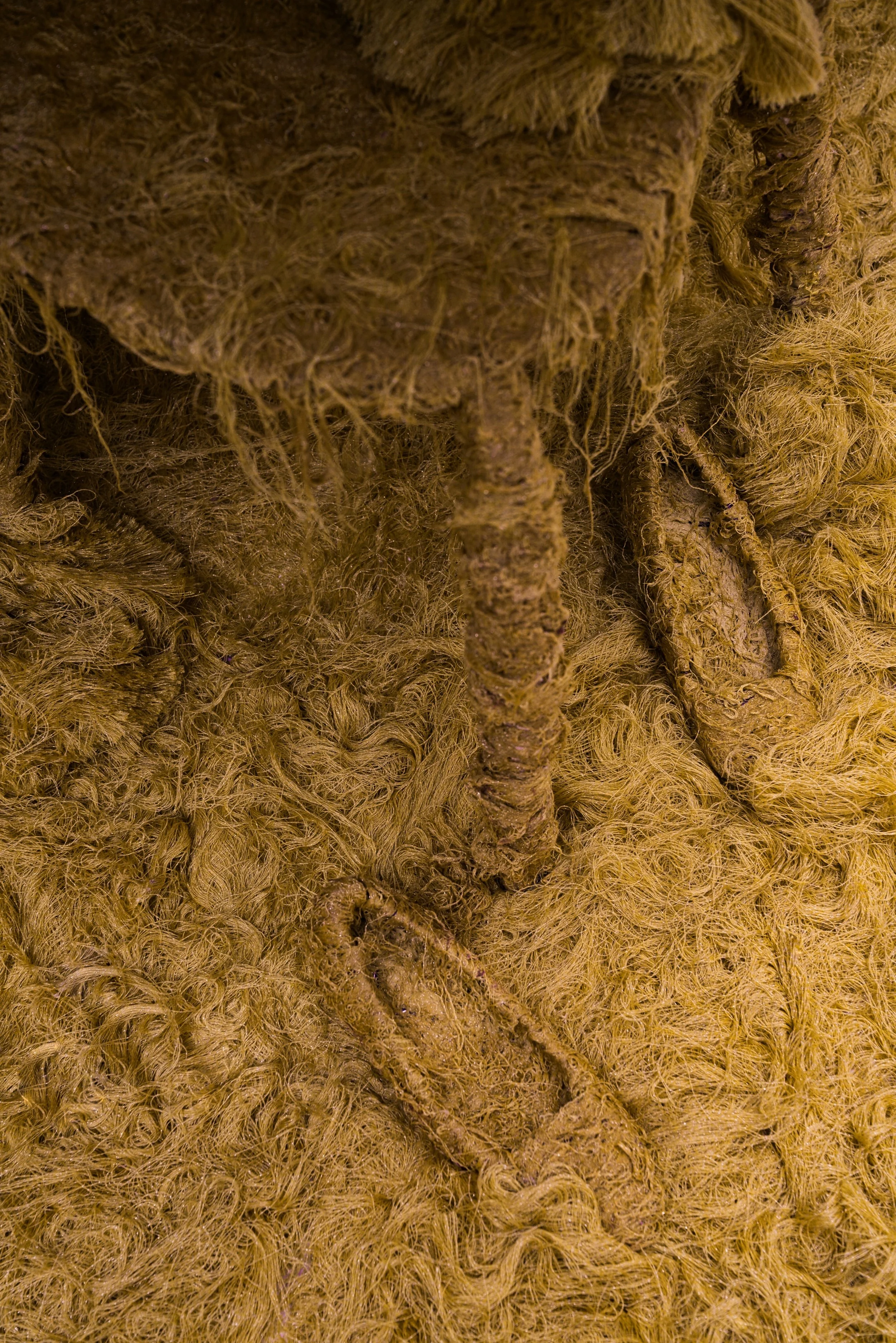 IMG_1321_polarr 2.jpg