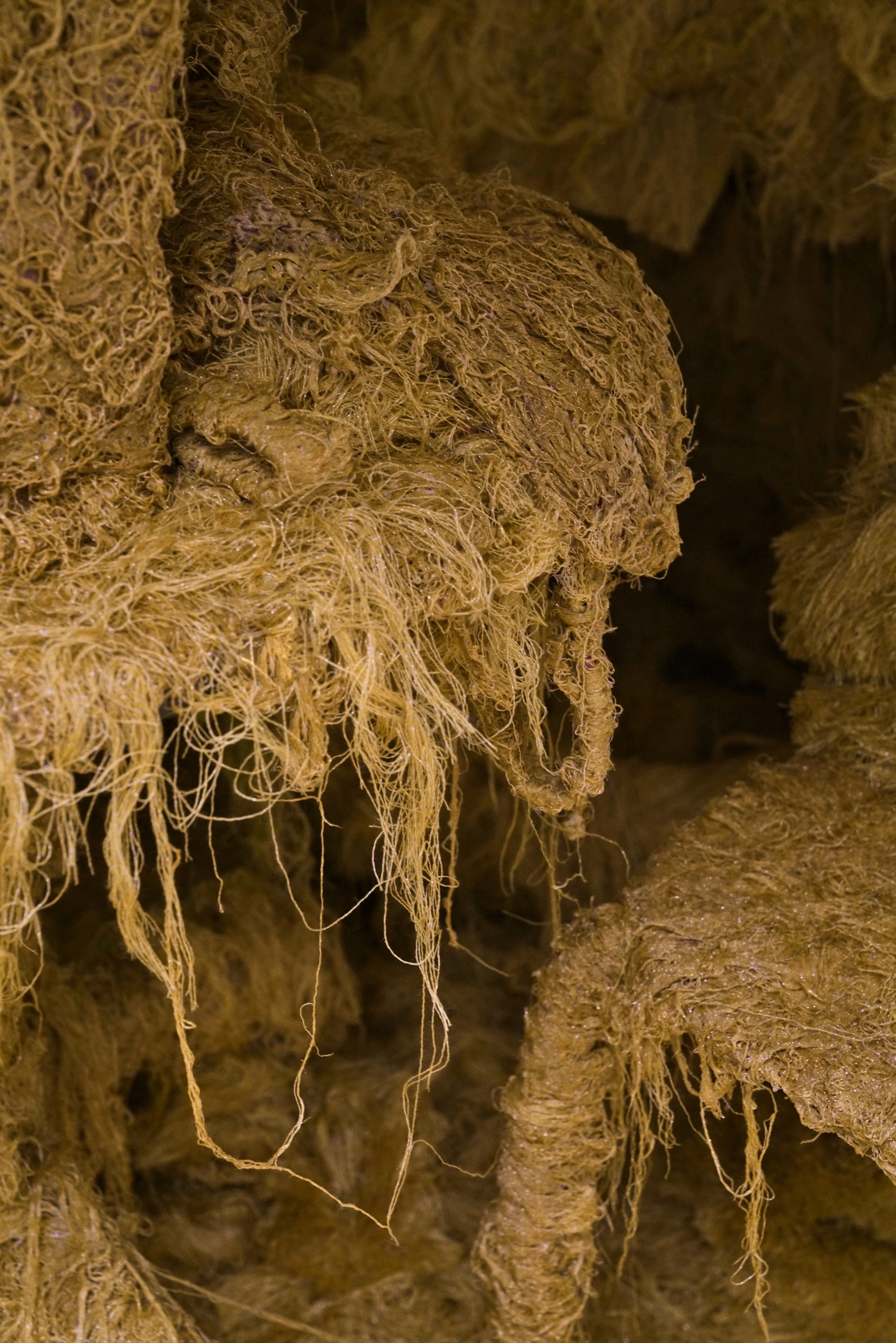 IMG_9815_polarr 2.jpg