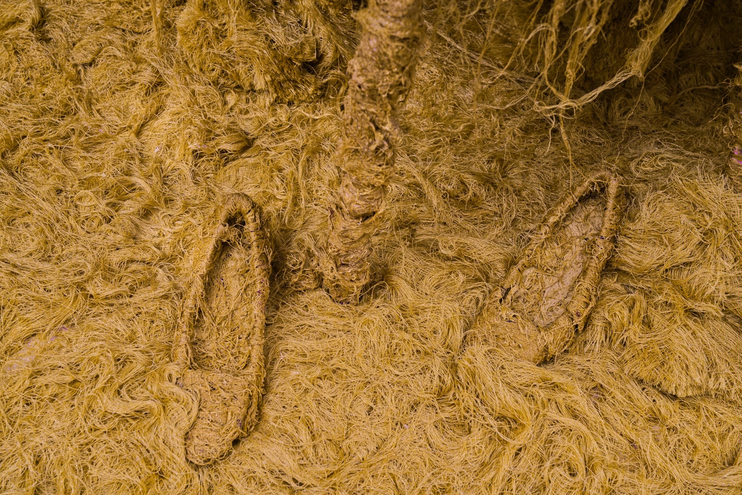 IMG_5096_polarr 2.jpg