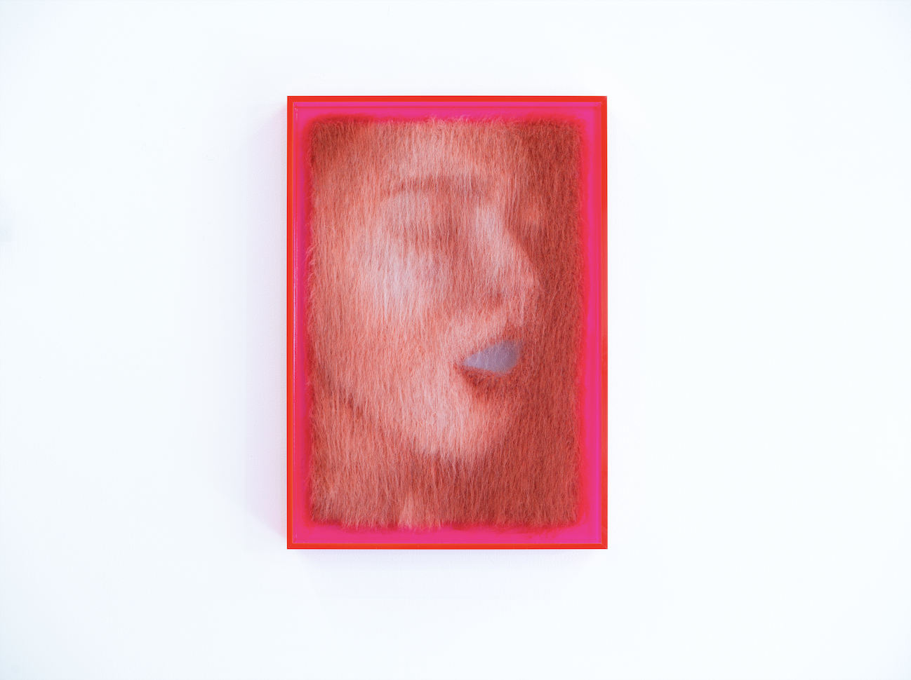 截屏2024-02-16 12.56.12.png