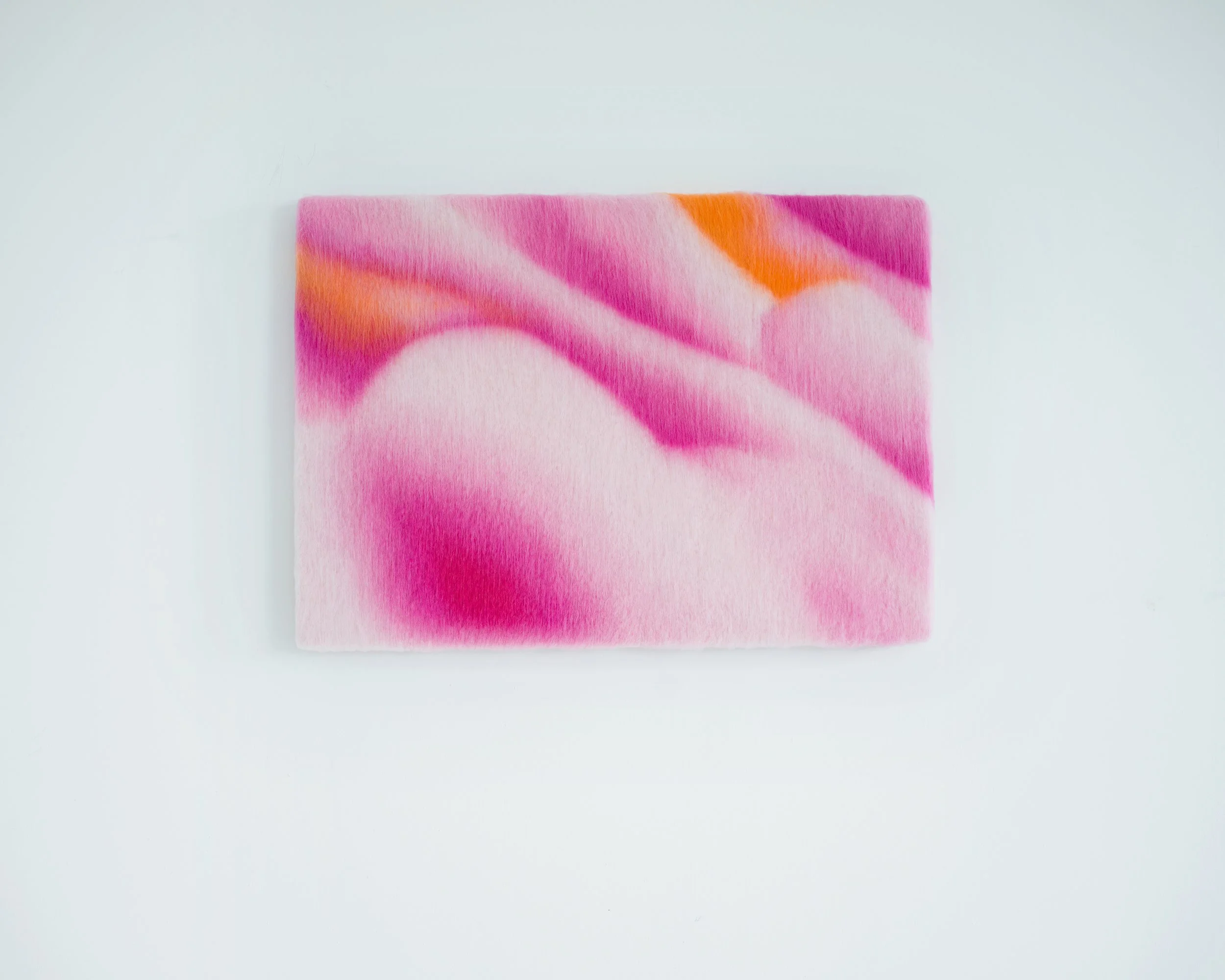 Described Video I (2024)