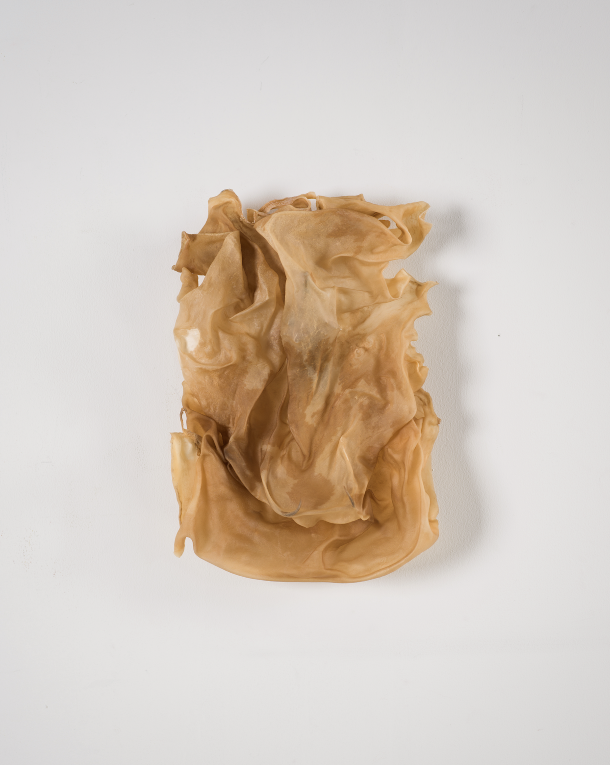 截屏2025-11-14 下午7.09.51.png