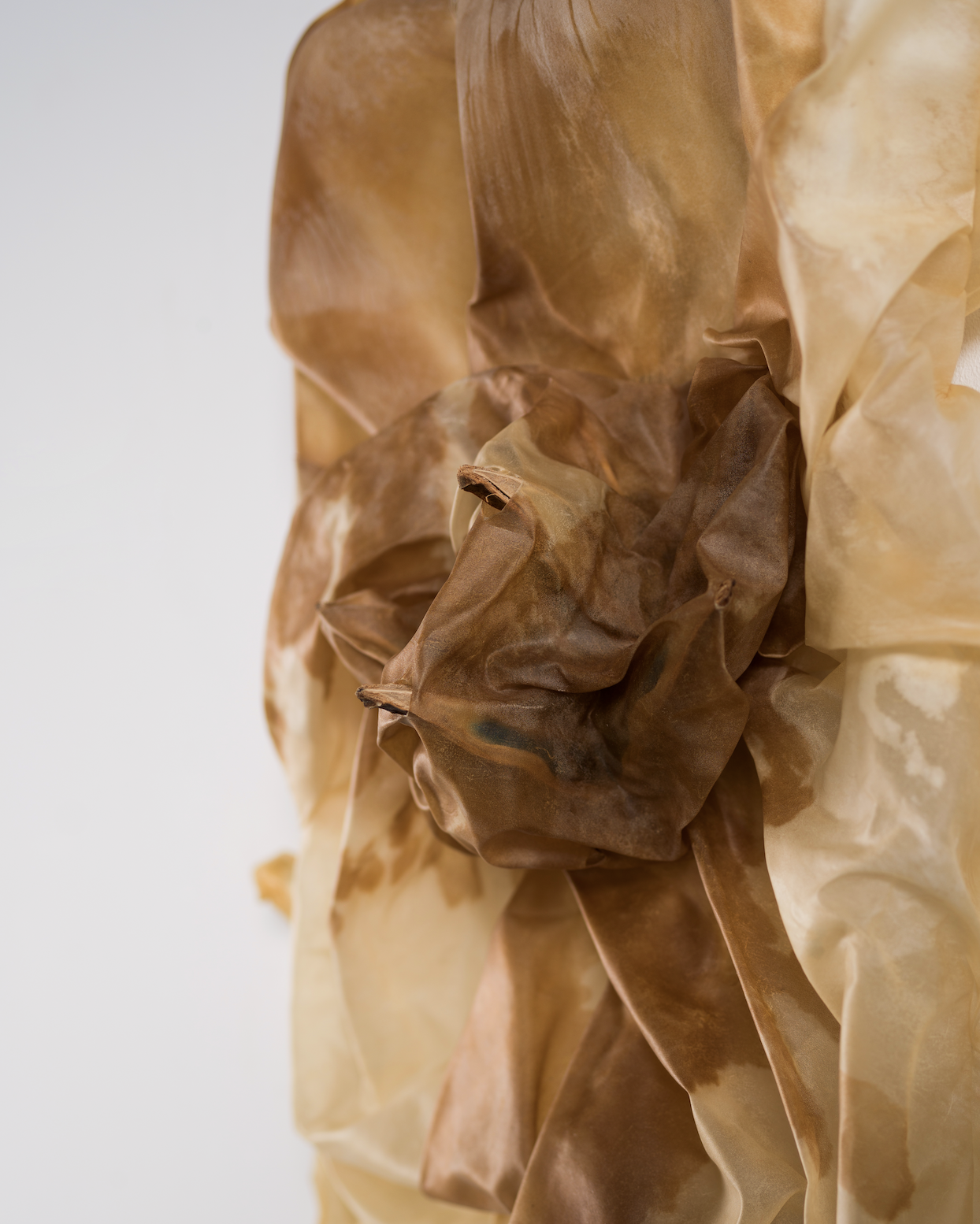 Grow Toward the Wound