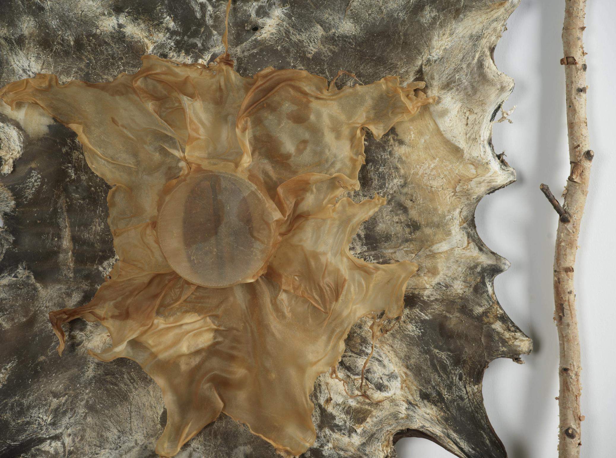 截屏2025-11-14 下午7.06.39.png