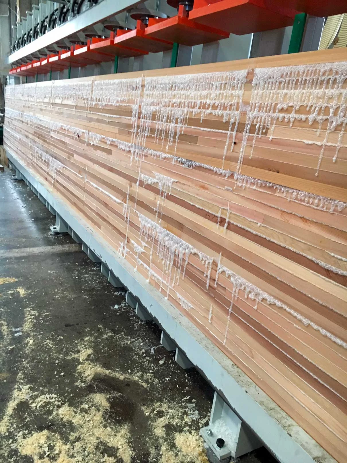 Lamellare Red Ceddar