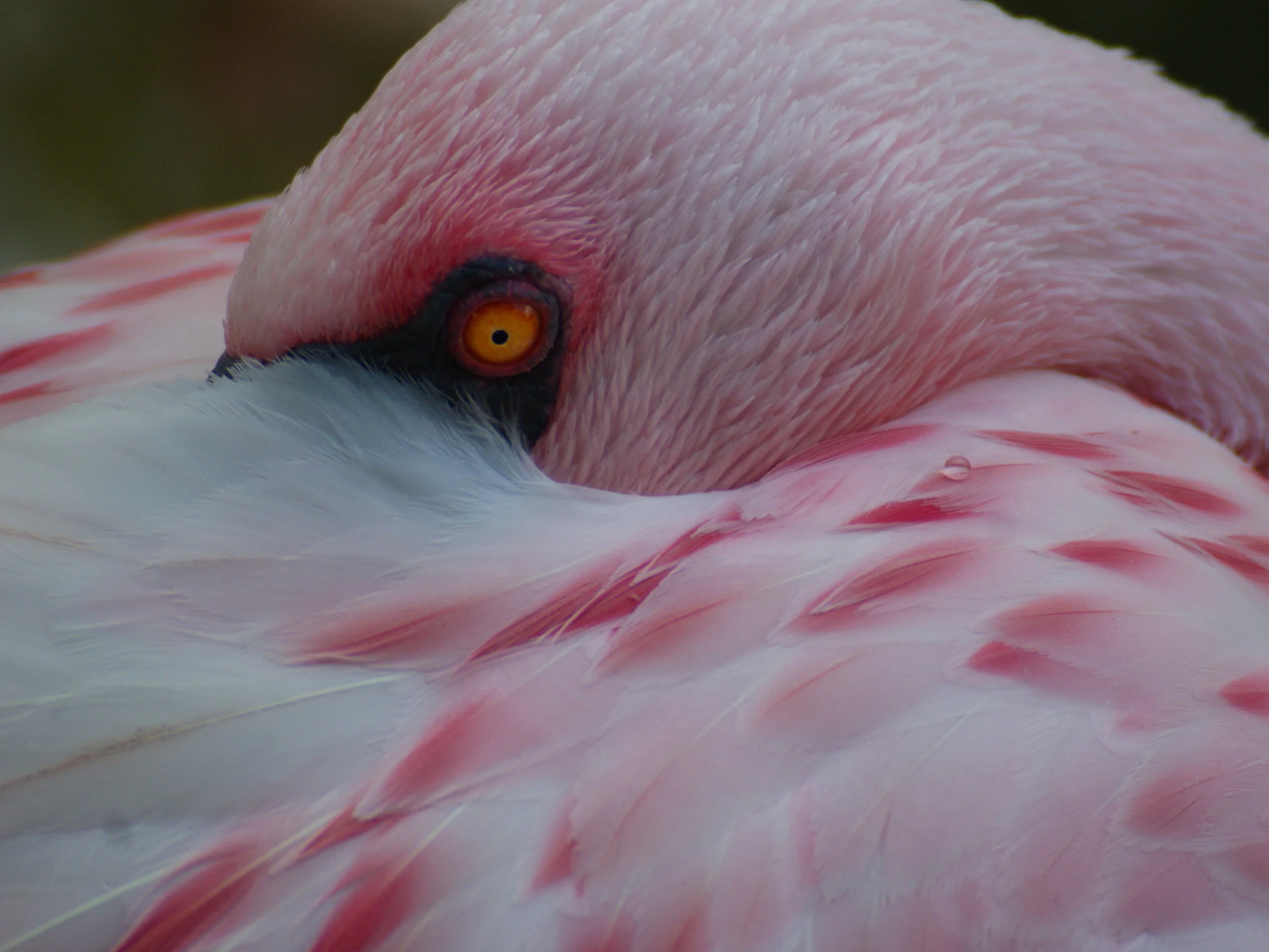 Photo #34.JPG