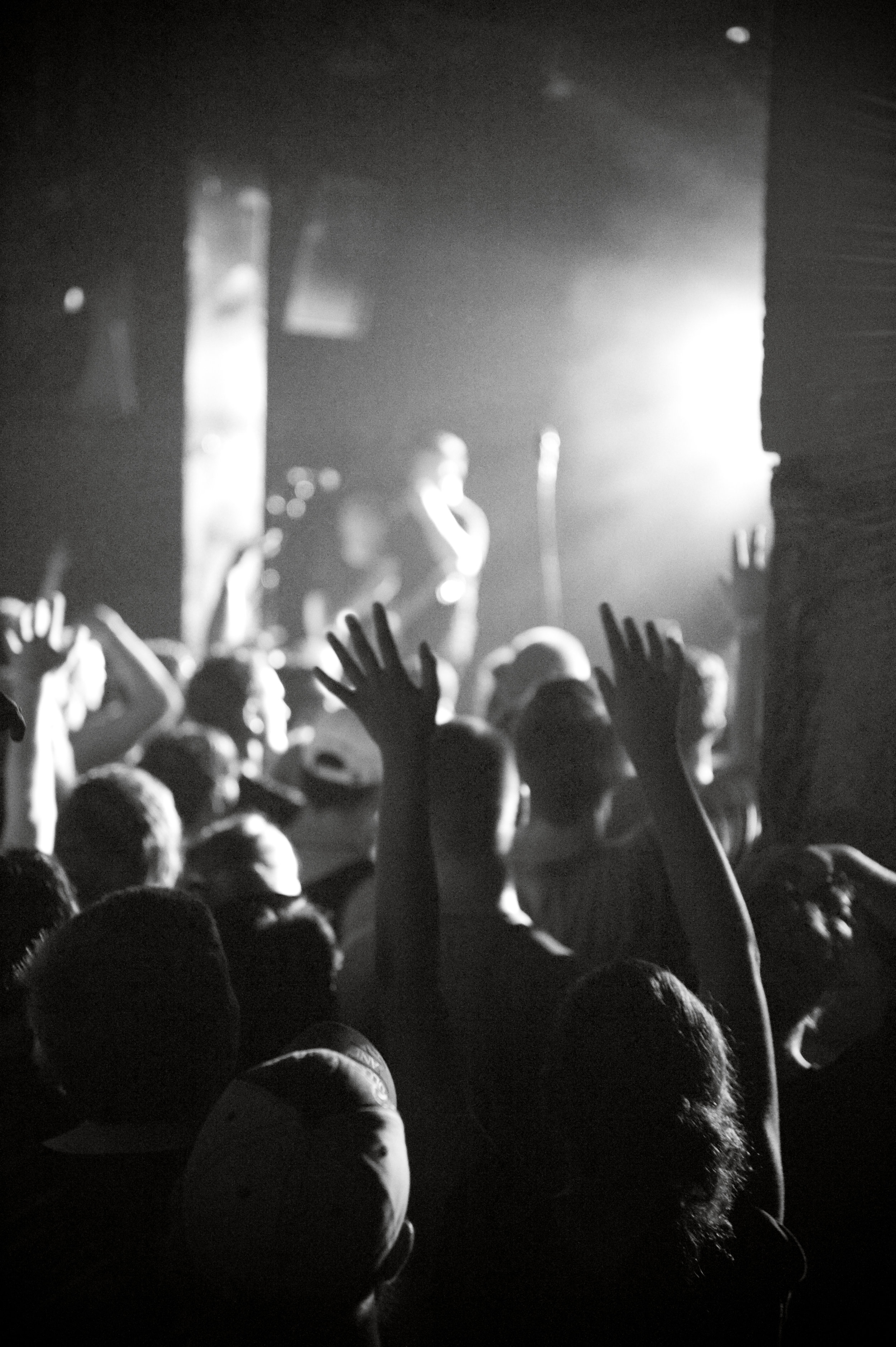 Fans cheering during The Amity Affliction 's performance. Photo by Michelle Waters .