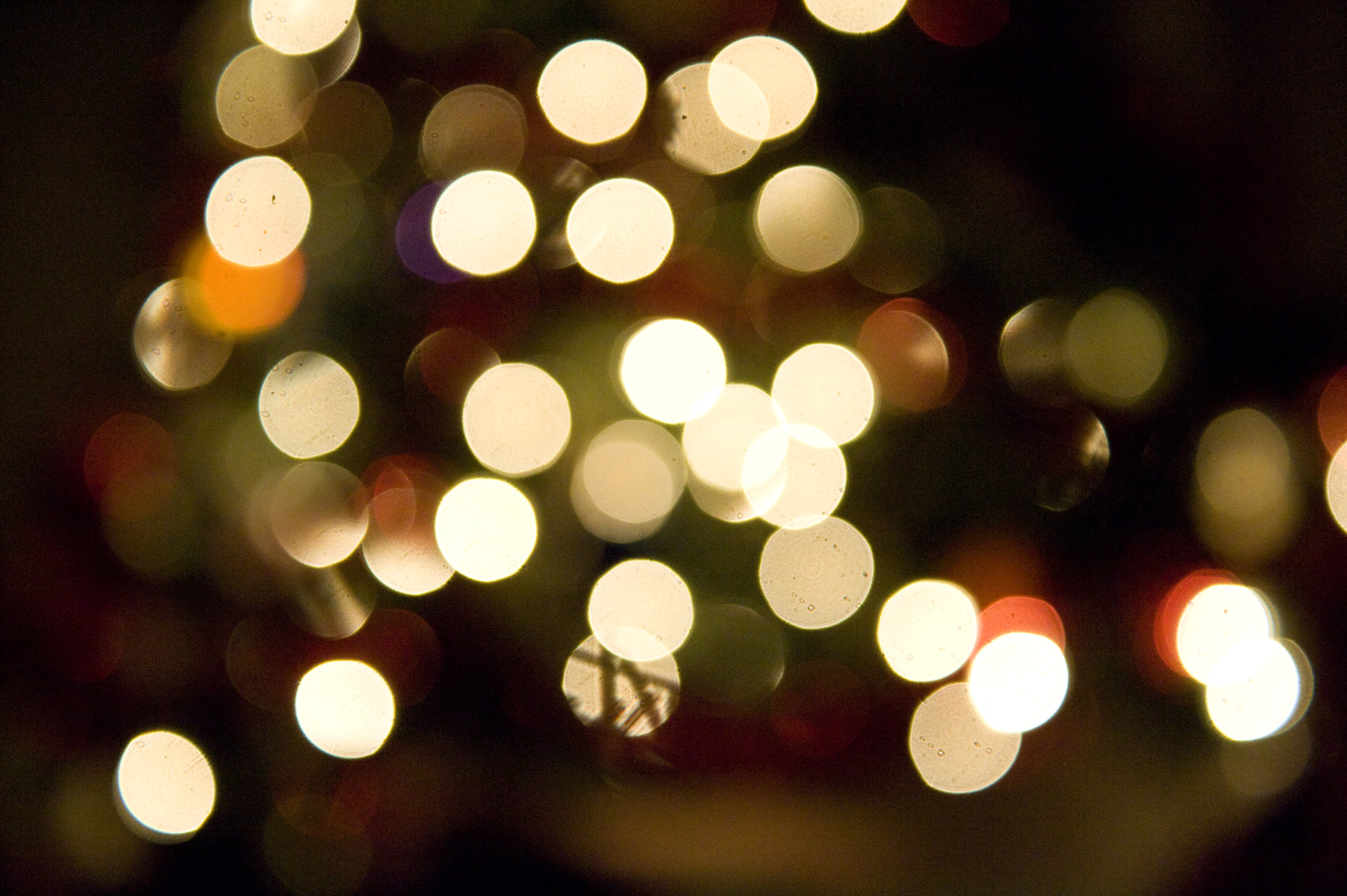 Christmas and Holiday-ish celebrations are in full swing as we roll into December, this week!