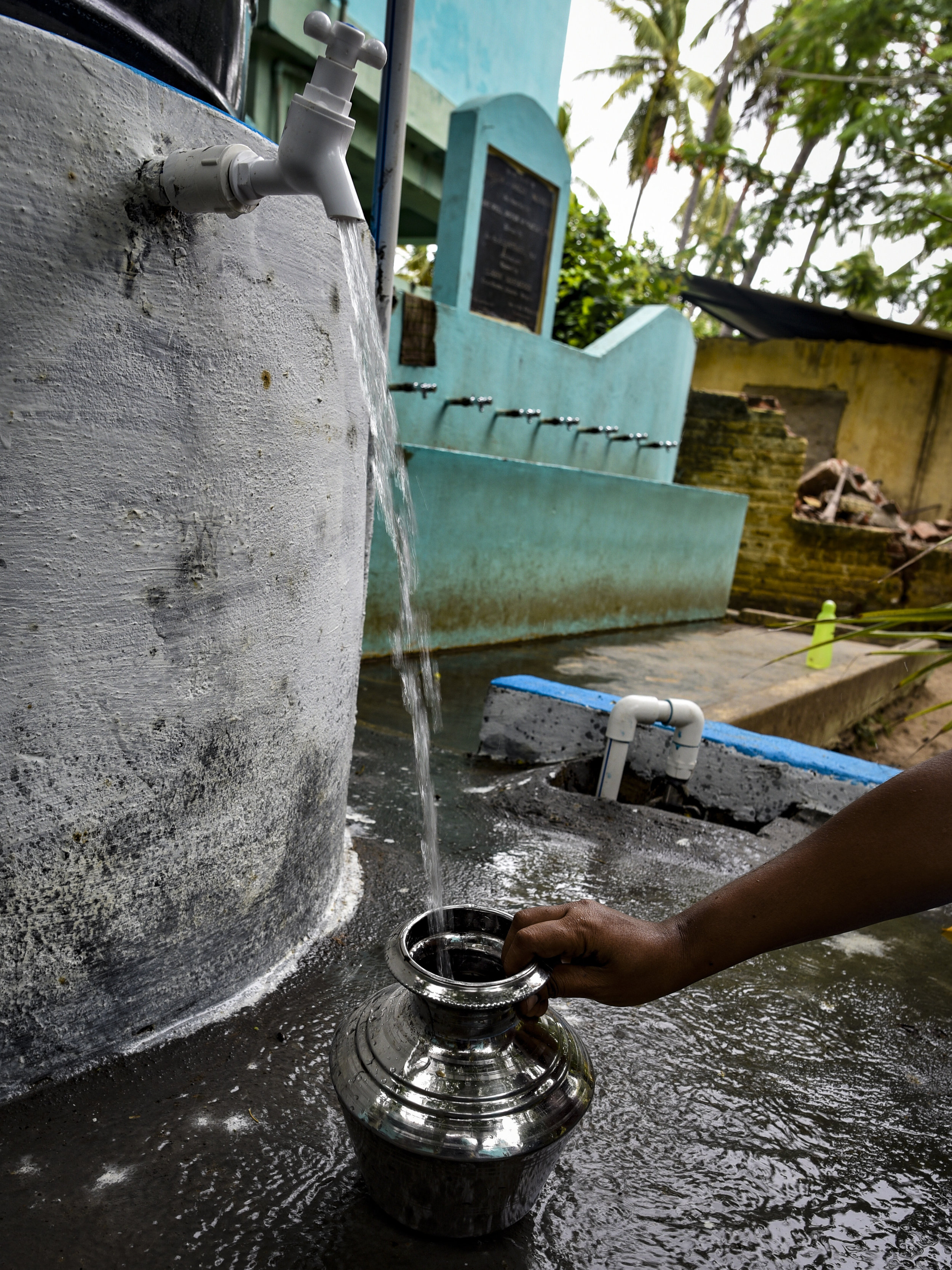 _DSC0808_india.jpg