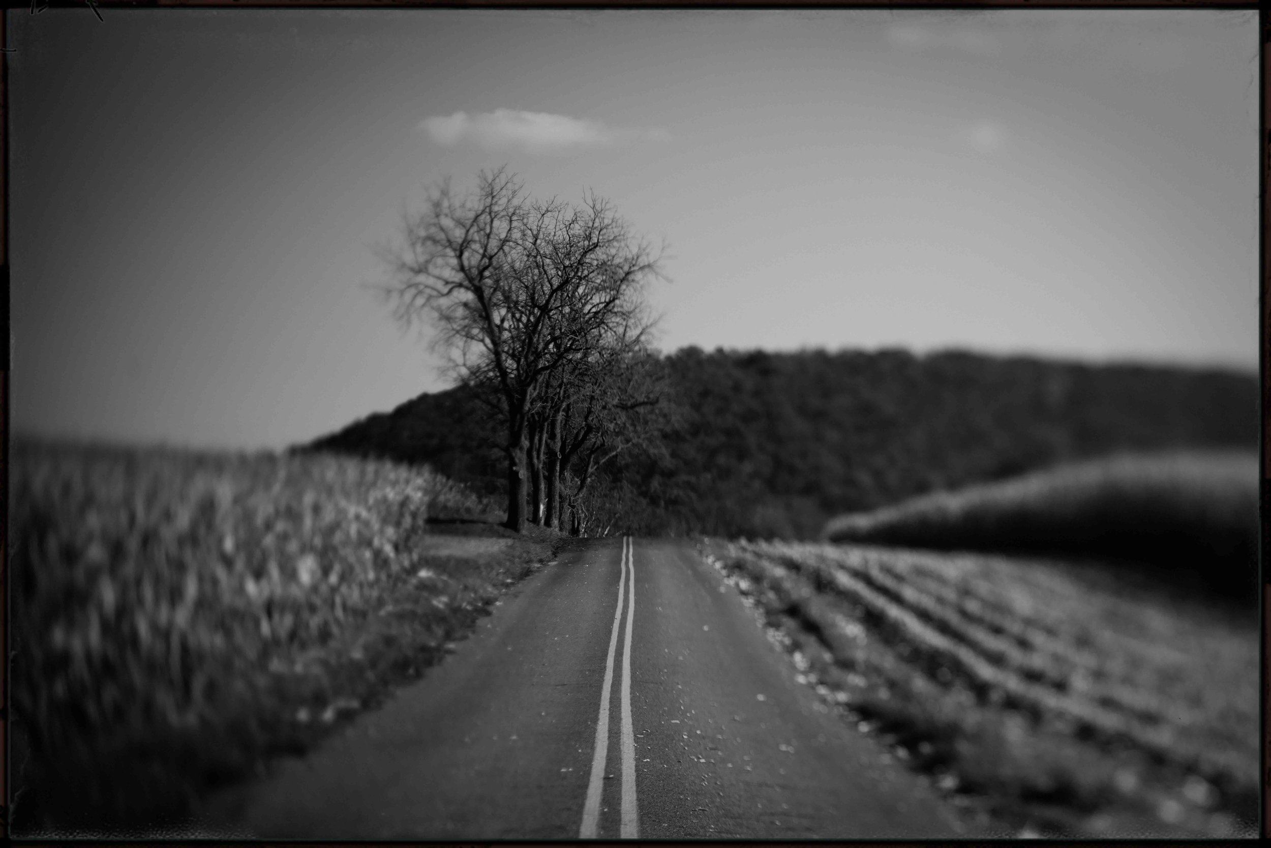 _D854858_20231102-Edit.jpg
