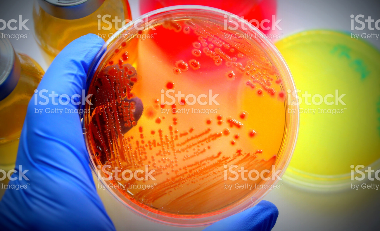 Screen Shot 2016-09-10 at 11.48.43 AM.png