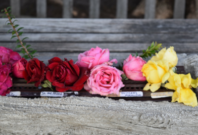 A Rose Index