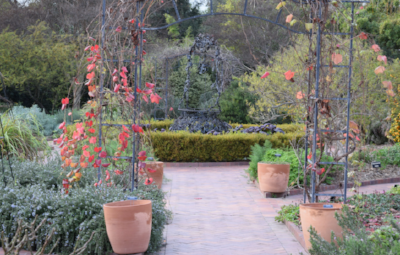 Potager entrance