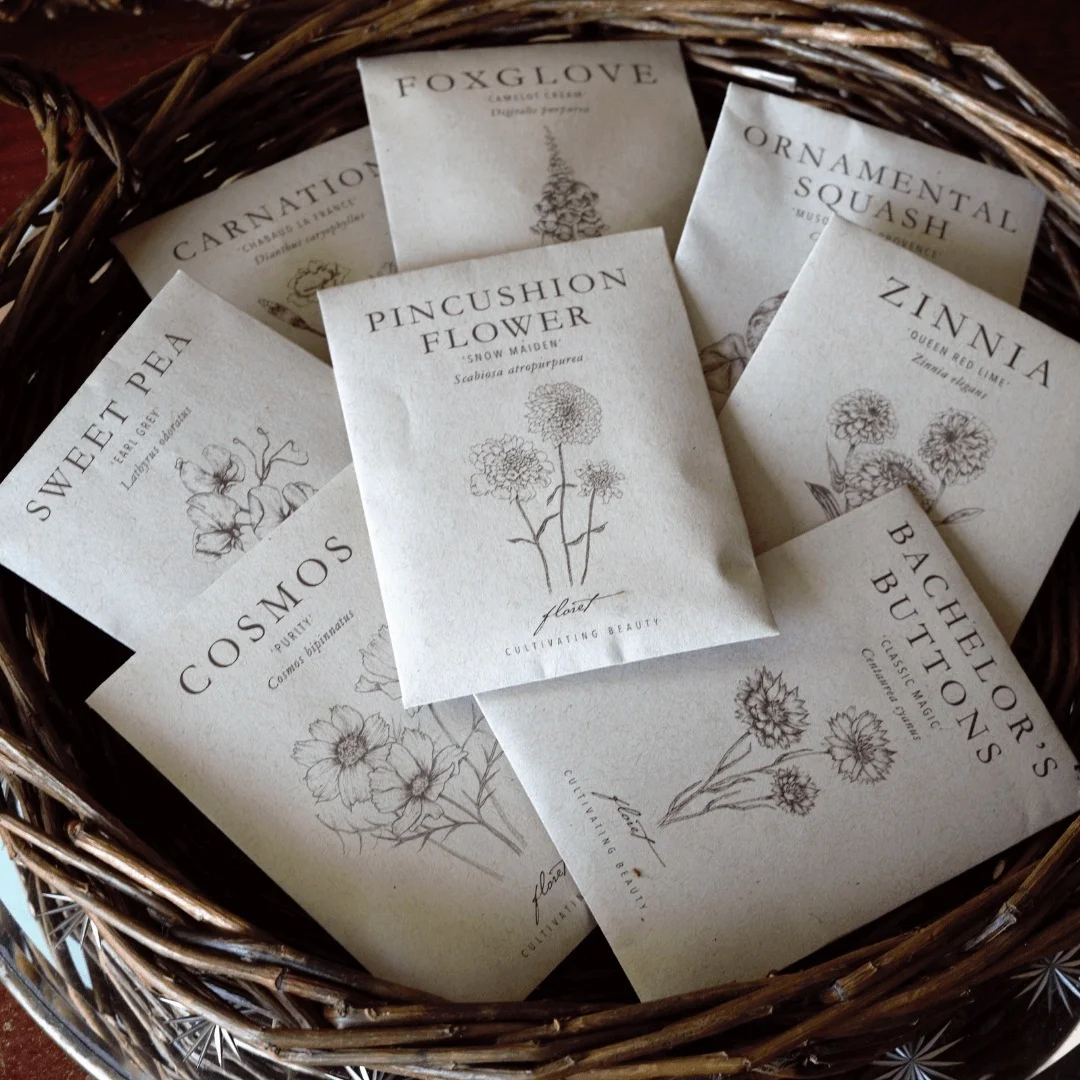 My seeds purchased from Floret Flower Farm online.