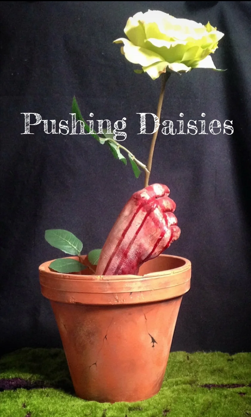 Pushing Daisies