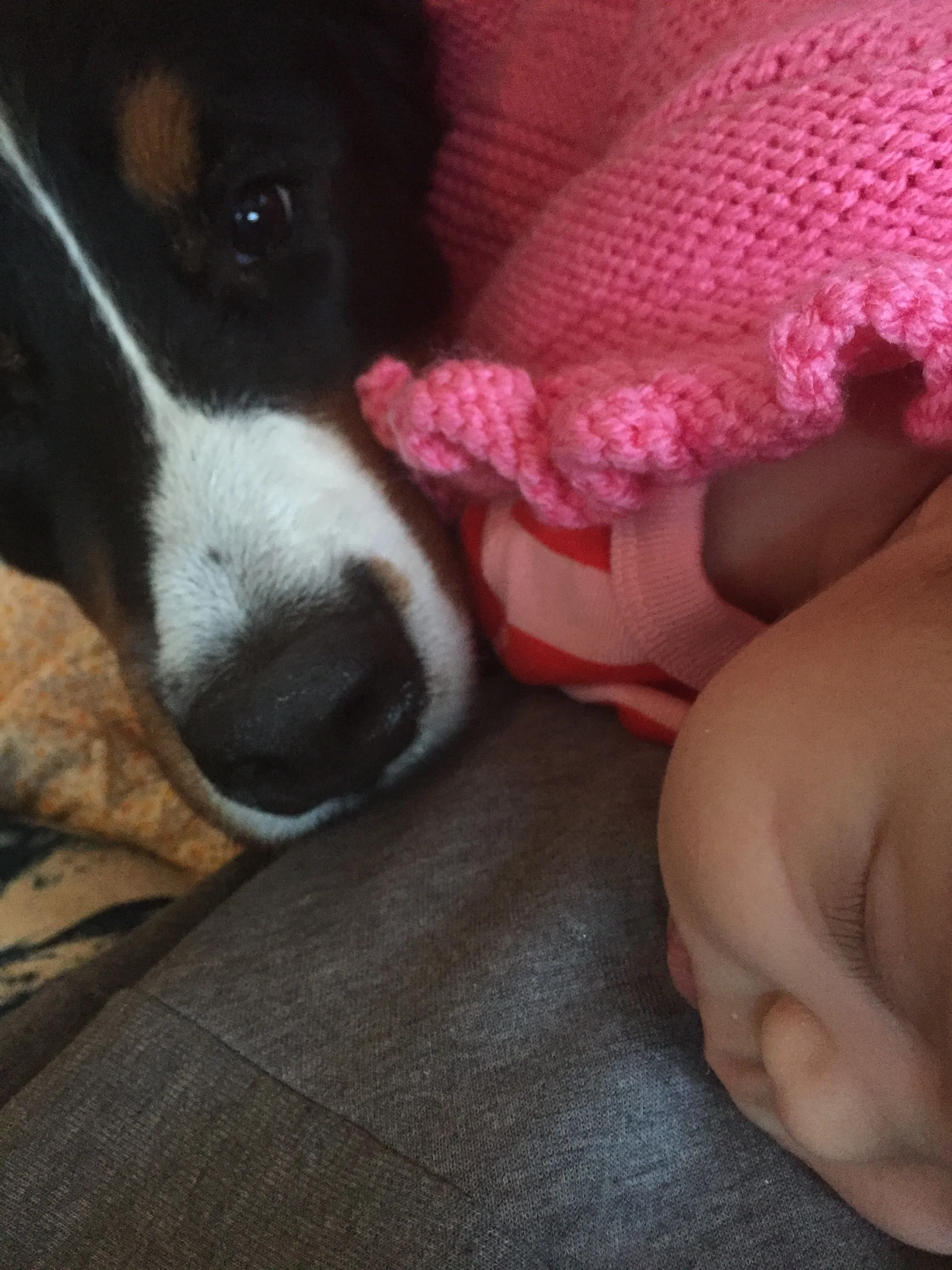 Snuggles on a stormy day