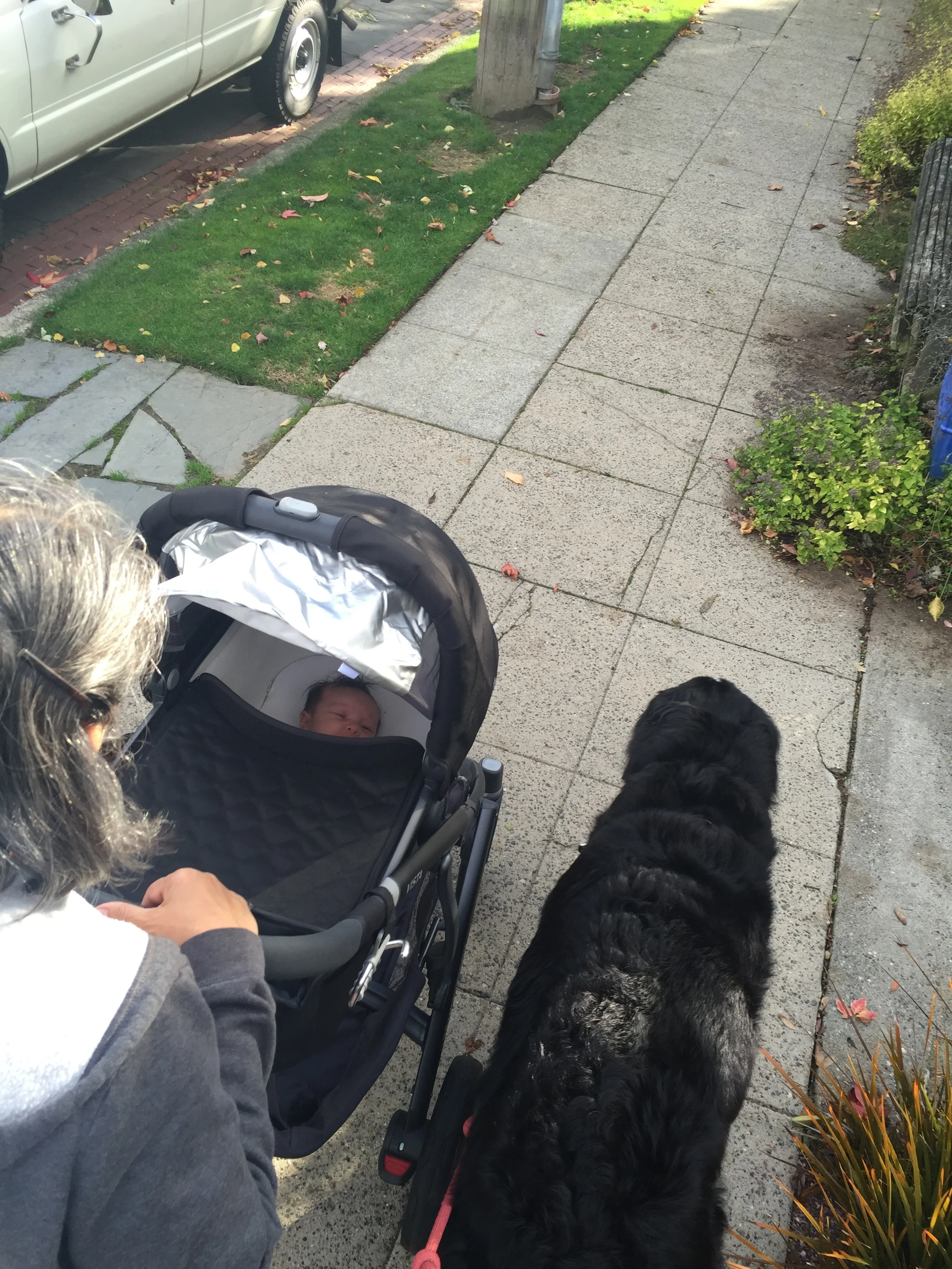 Lummi, Lola, and the Lil