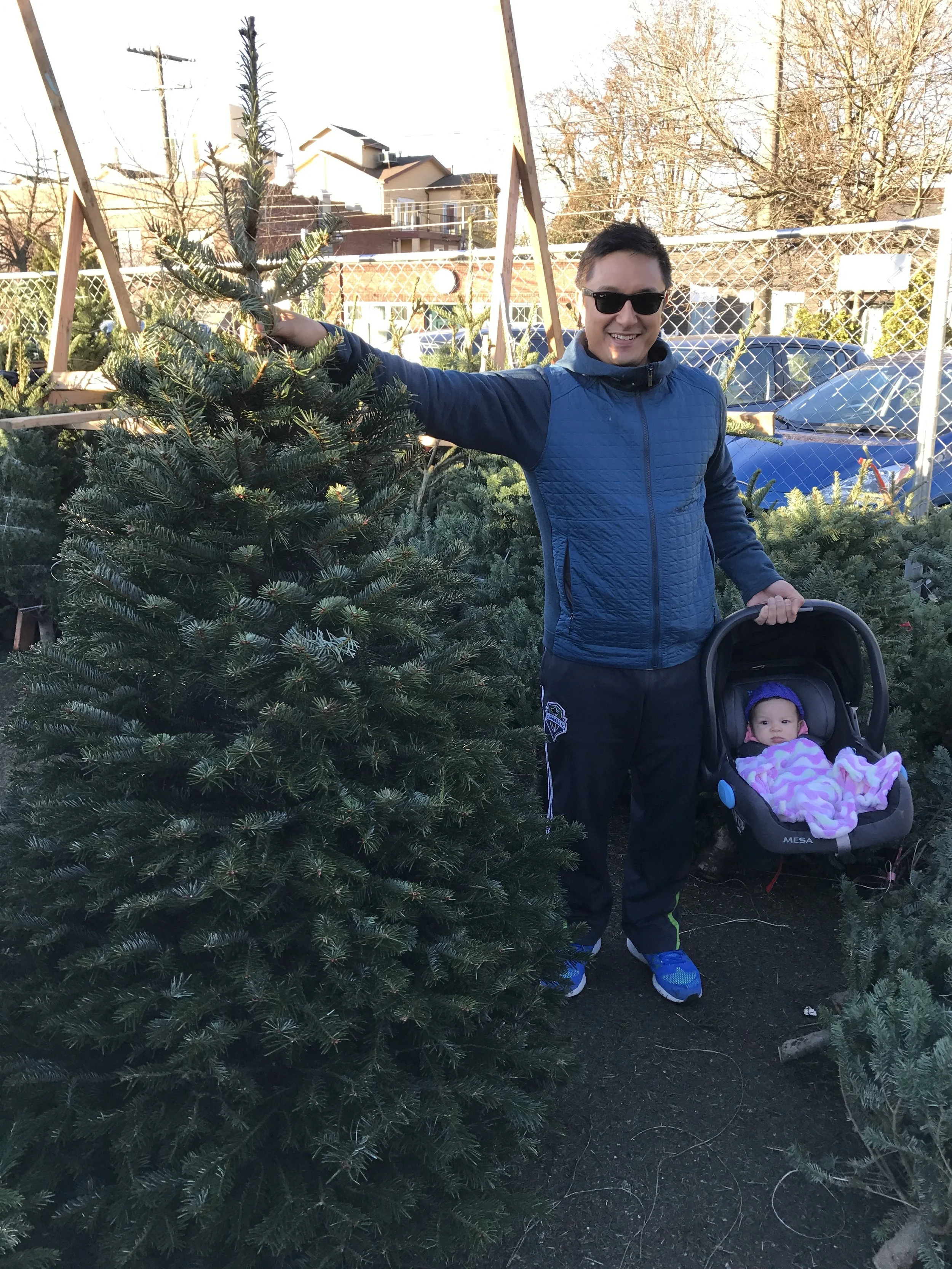 Oh Christmas tree