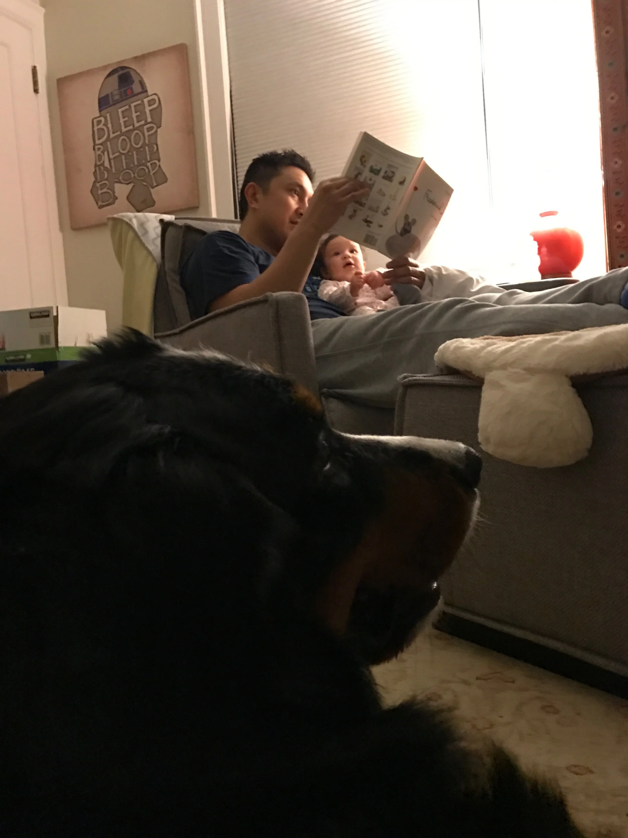 Time really does fly