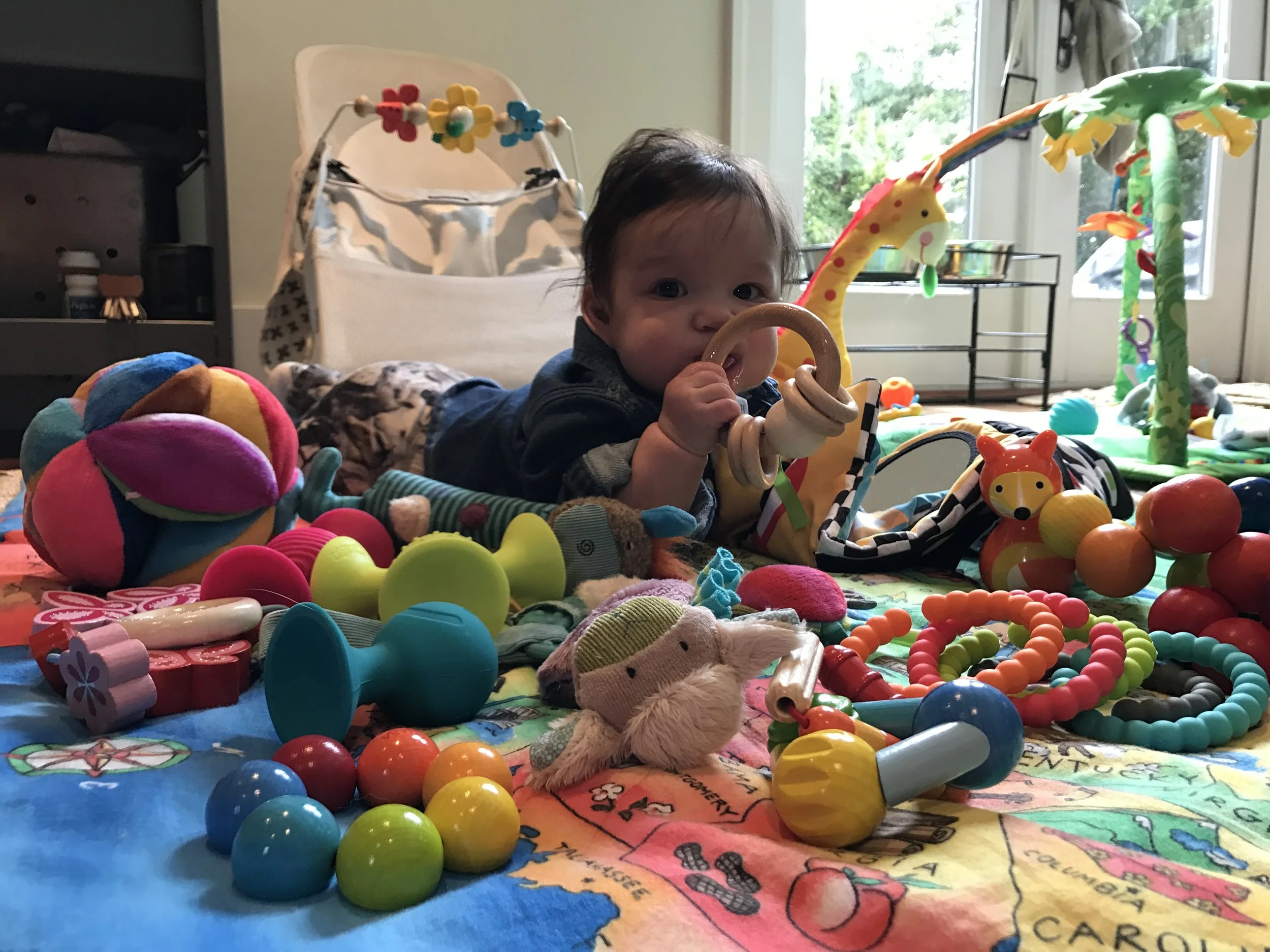 I bought the toy store