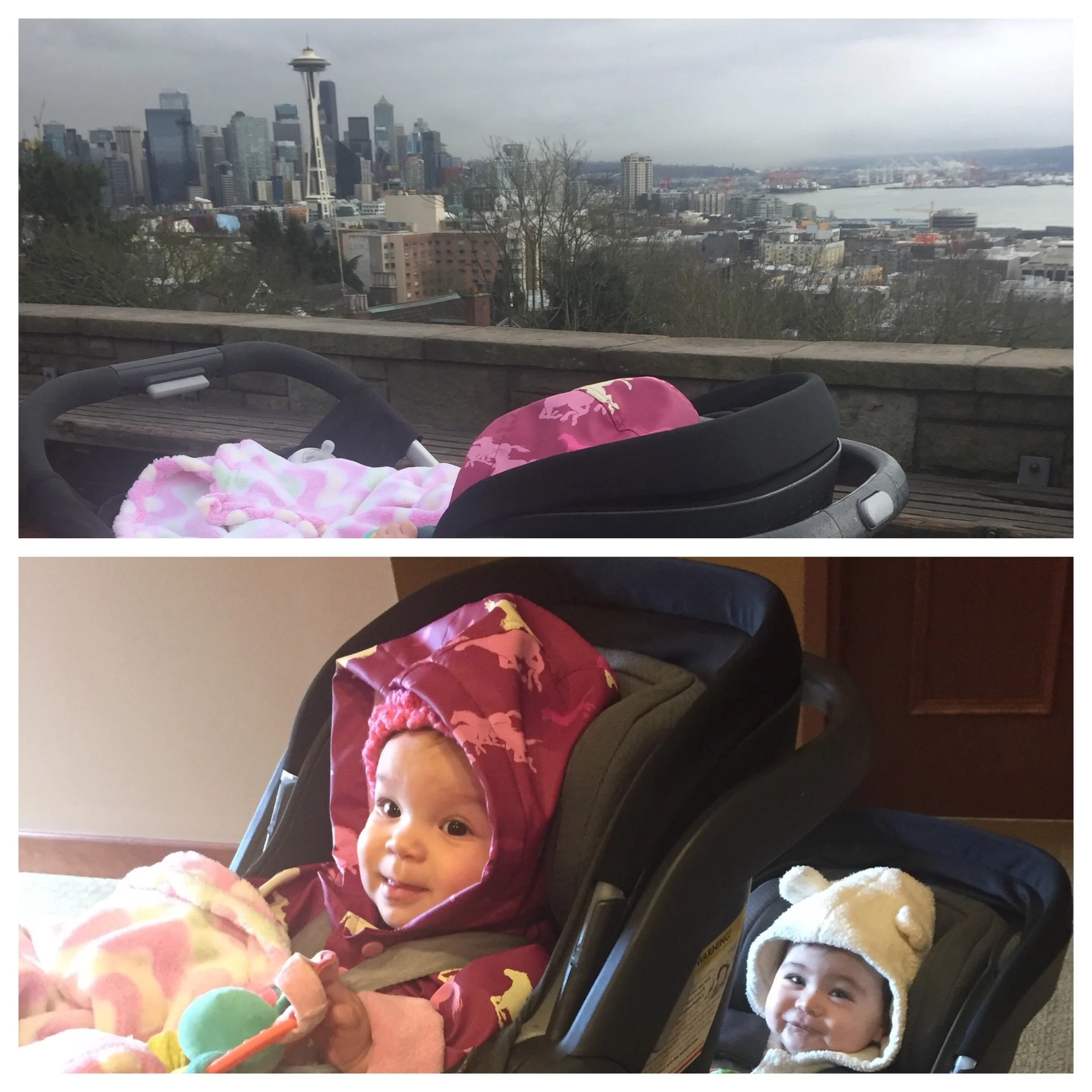 Stroller view
