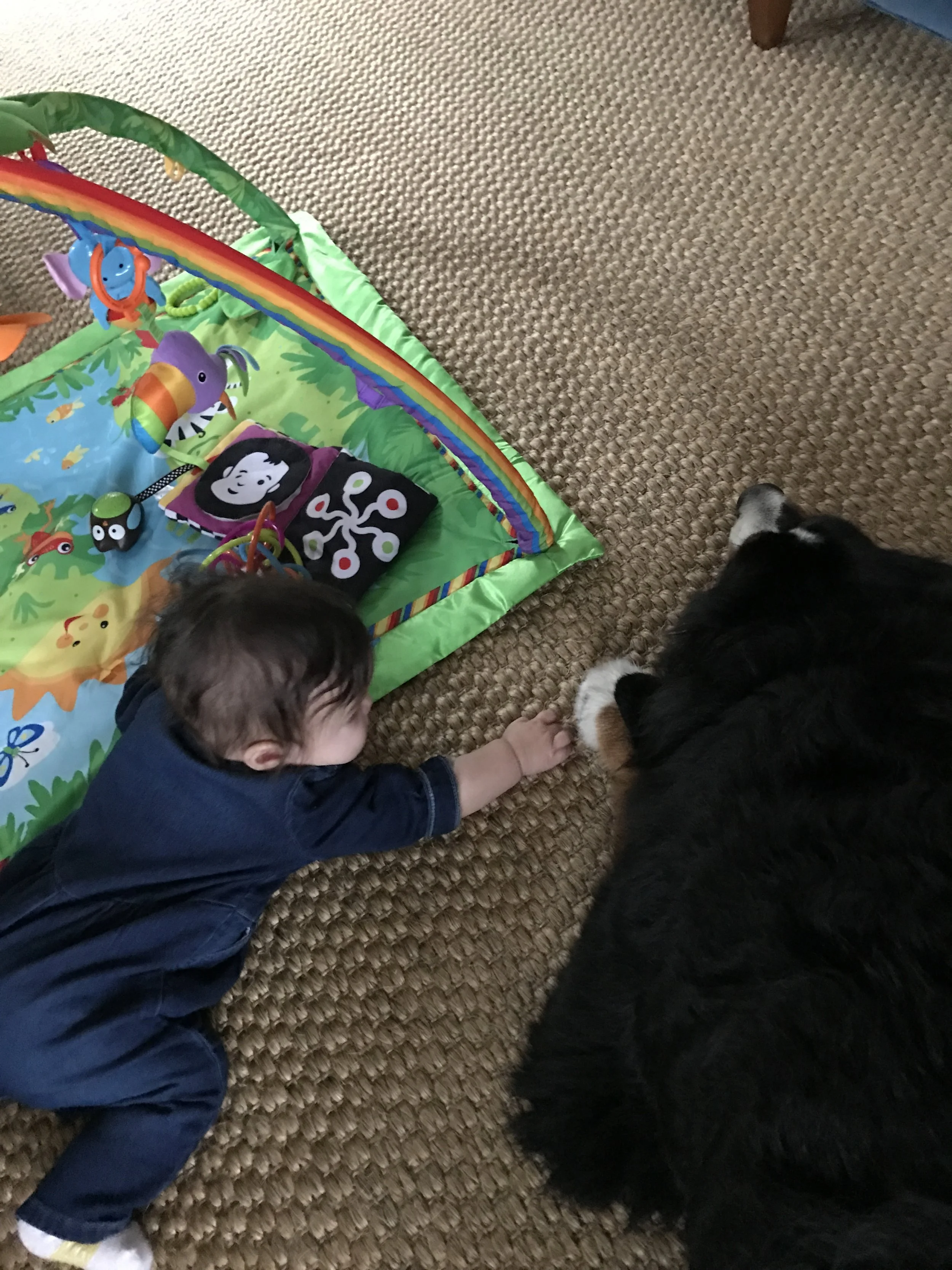 I wanna hold your hand...