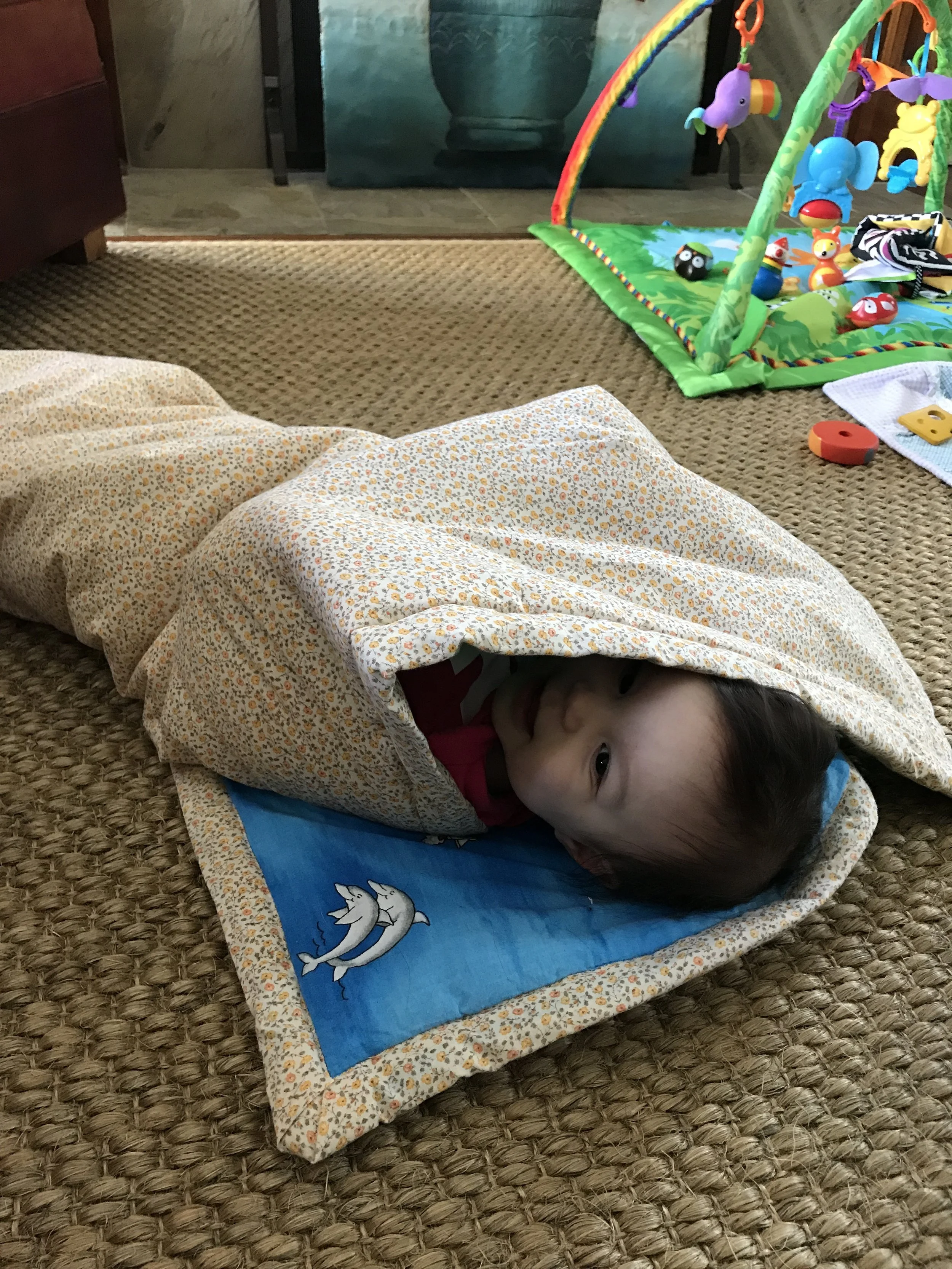 Snug as a bug in a rug.