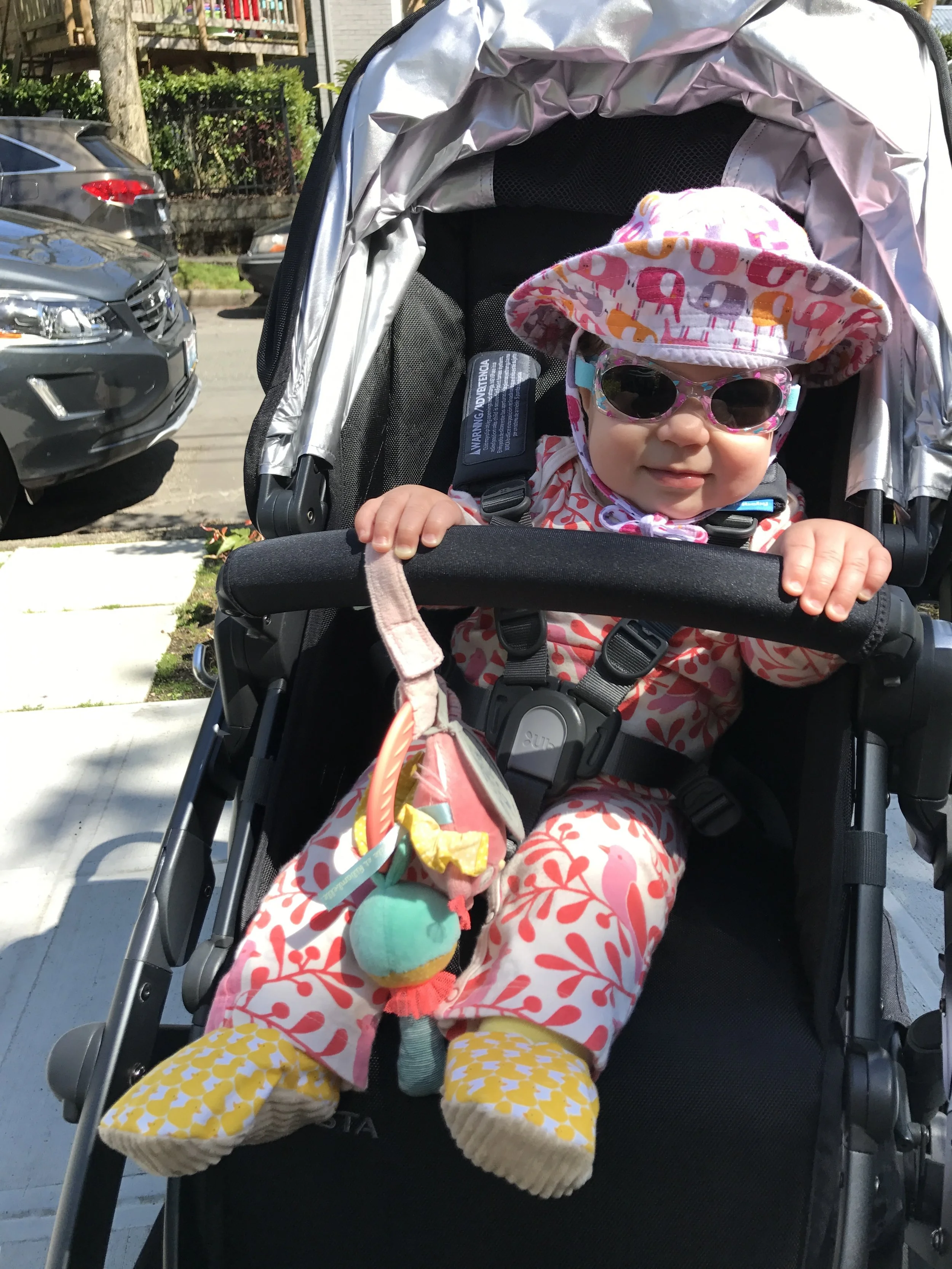 Strollin' sun seeker