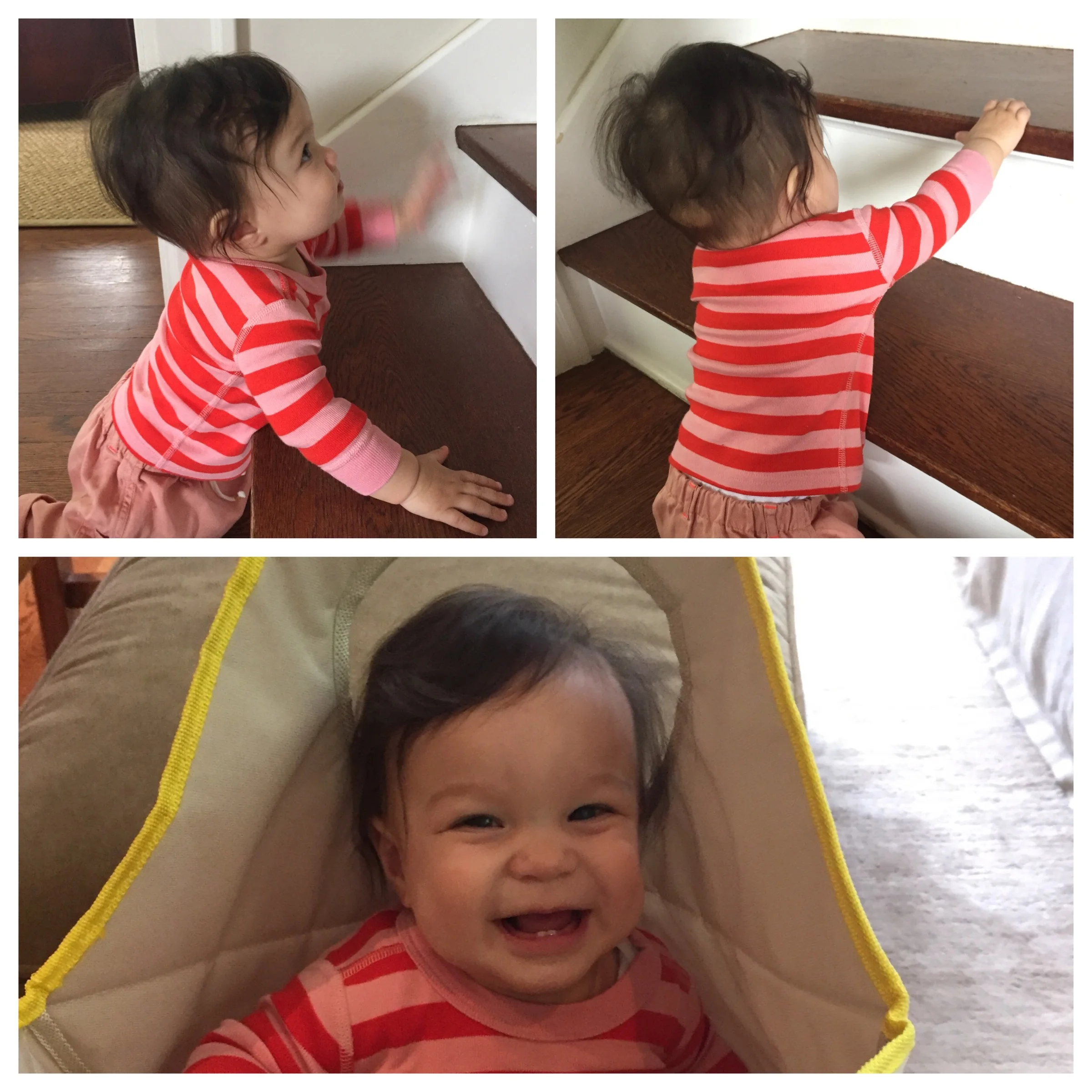 Laundry bags are our only defense 