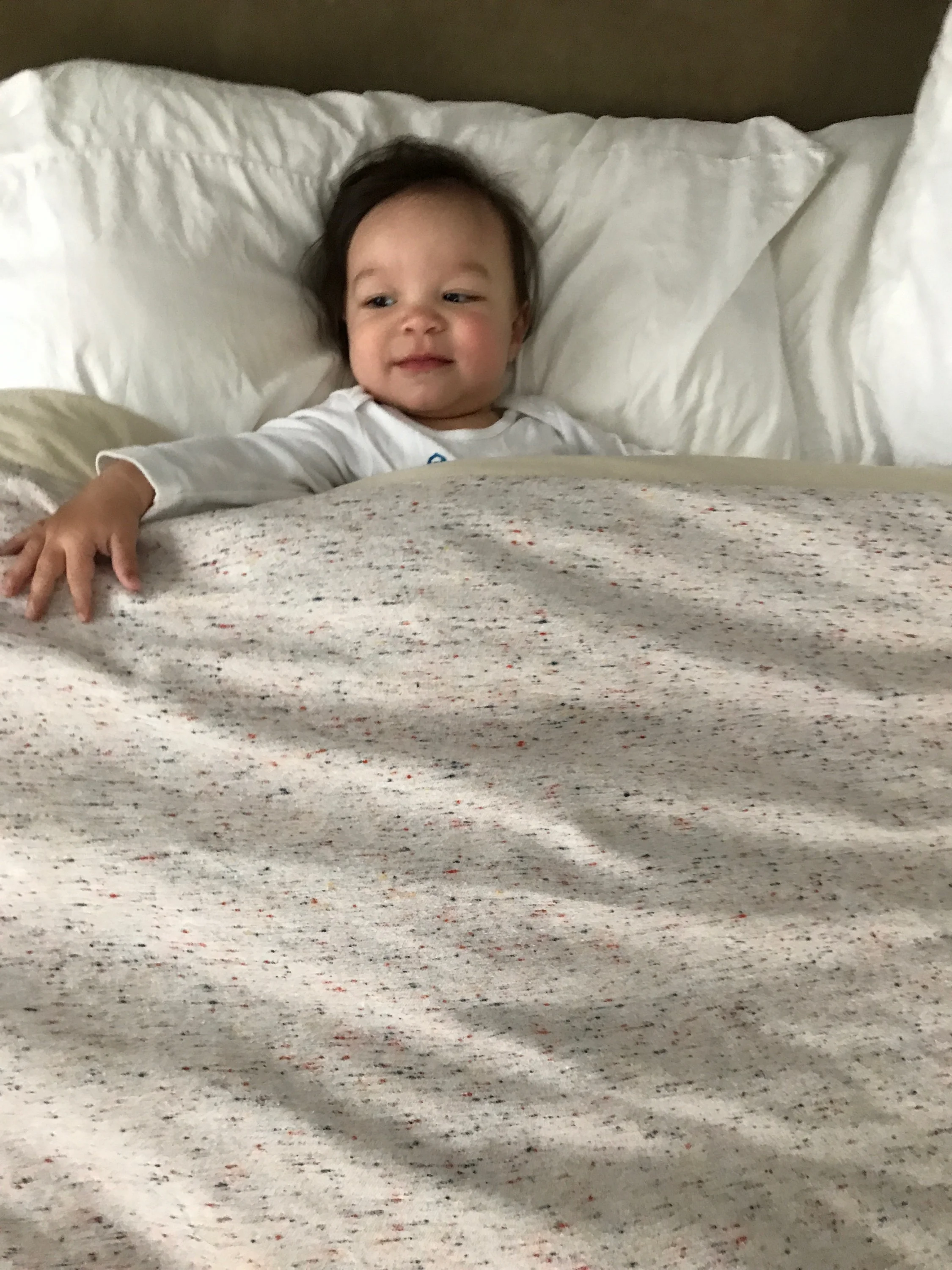 Snug as a bug in a rug